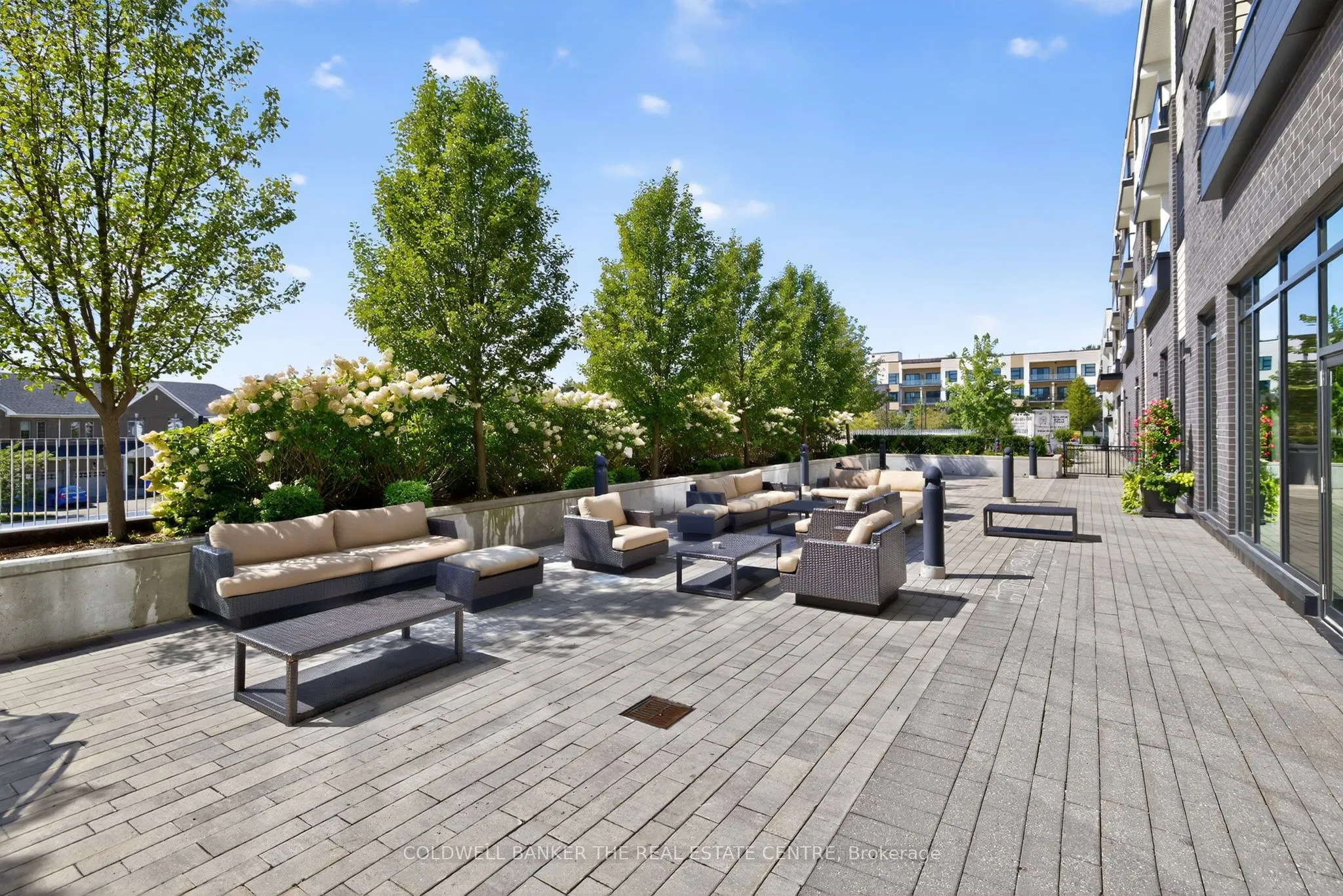 555 William Graham Drive, #51