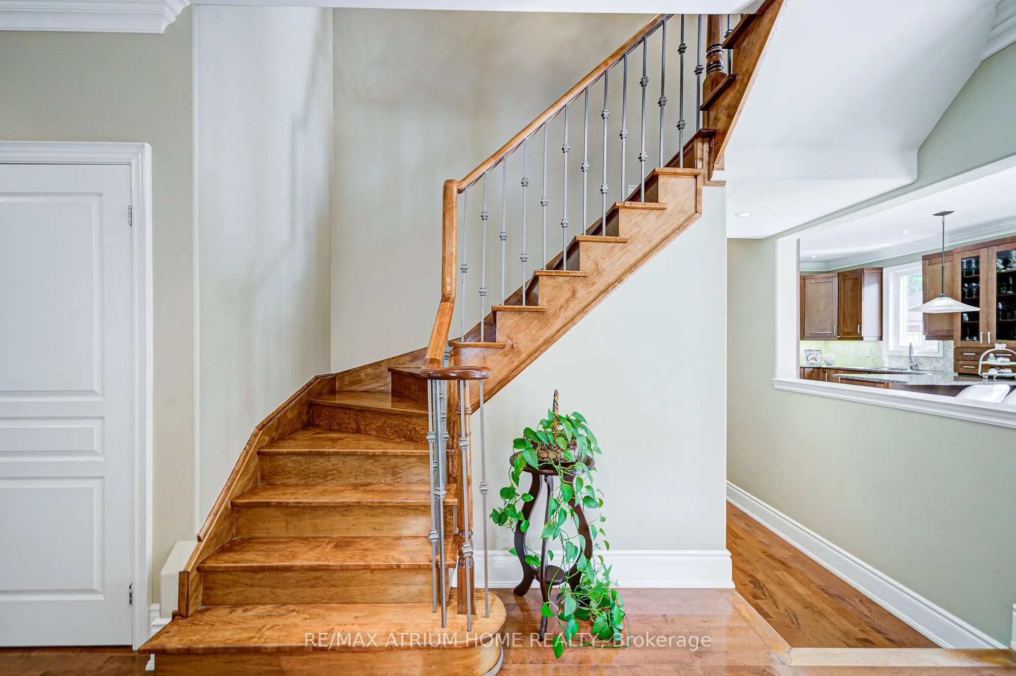 11 Albright Crescent