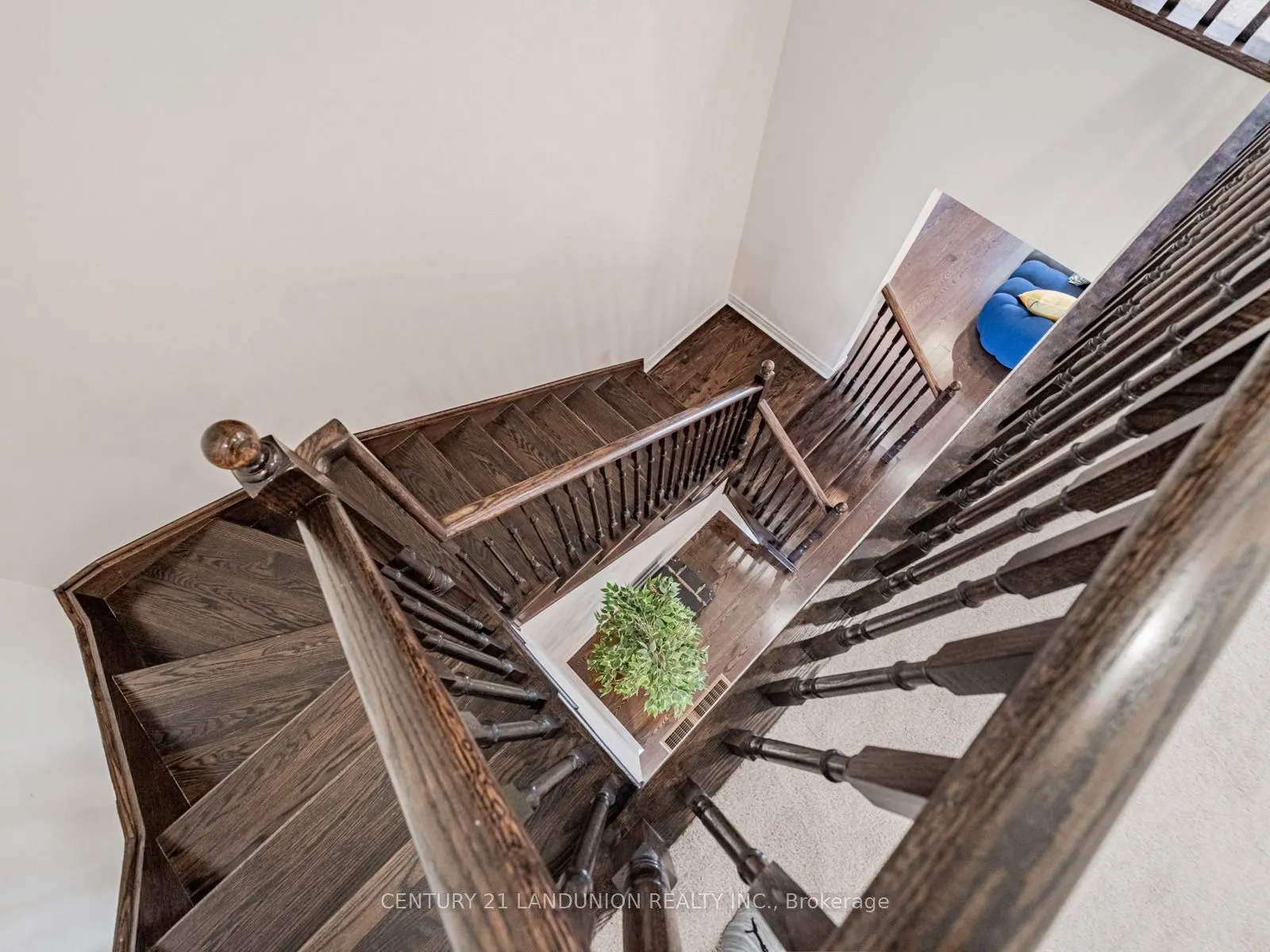233 Butternut Ridge Trail