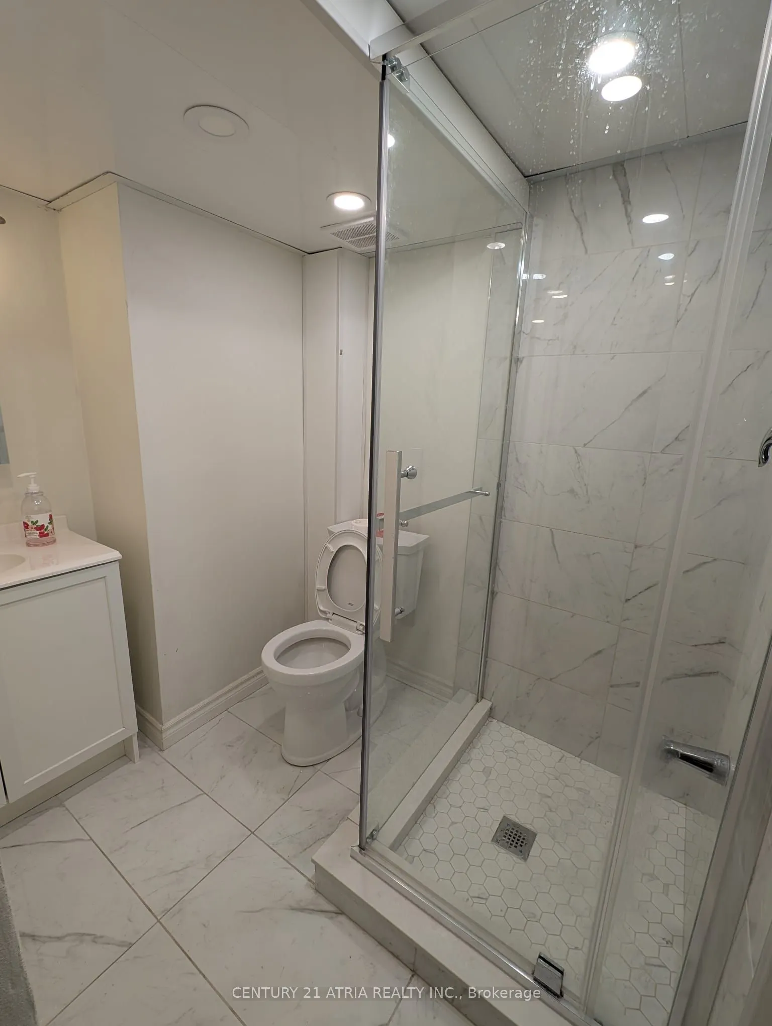 38 Harding Boulevard, #Bsmt 1
