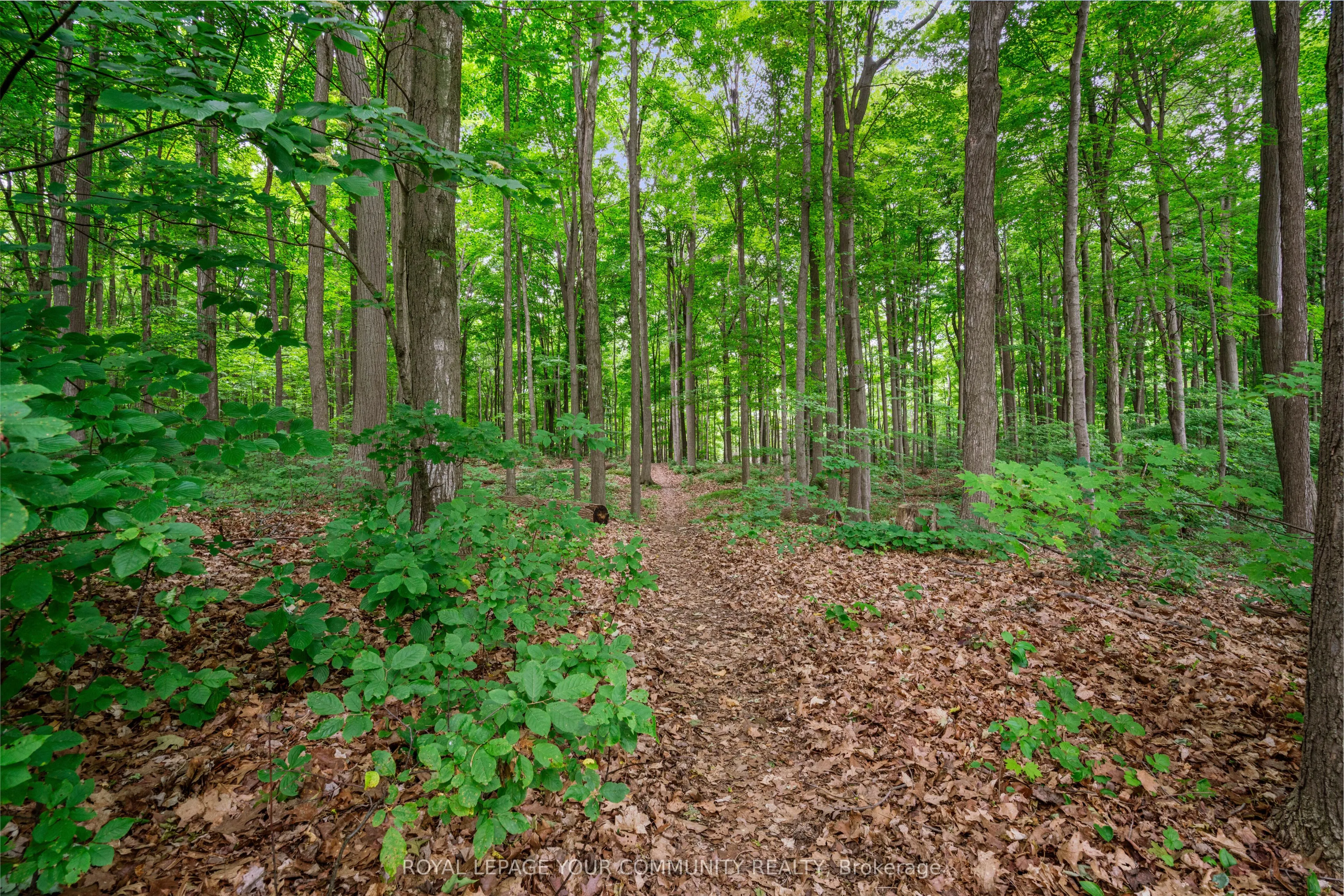 209 Tamarac Trail