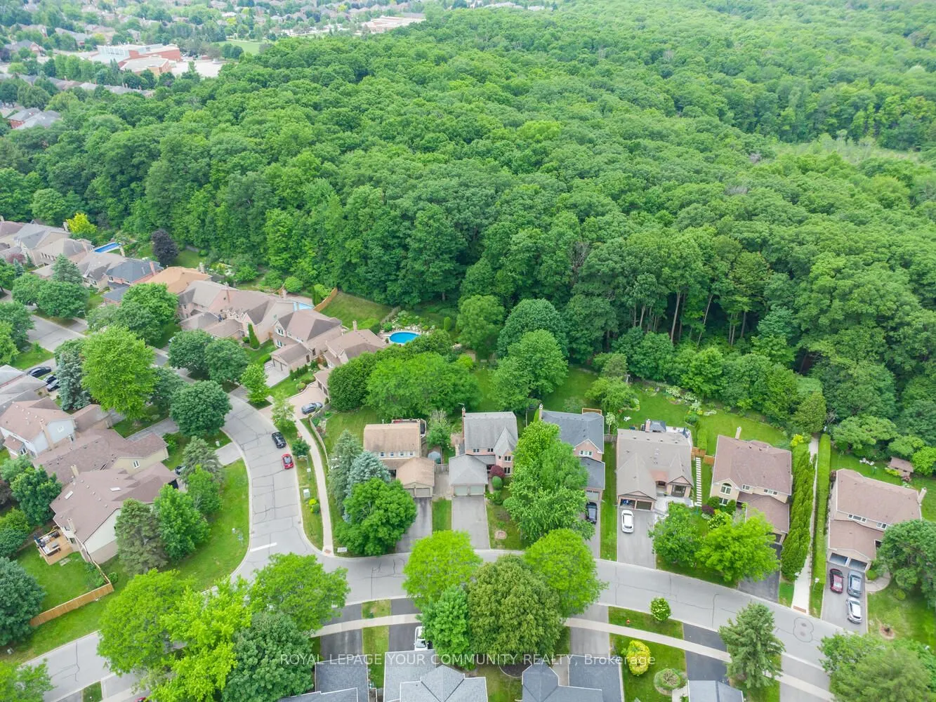 209 Tamarac Trail