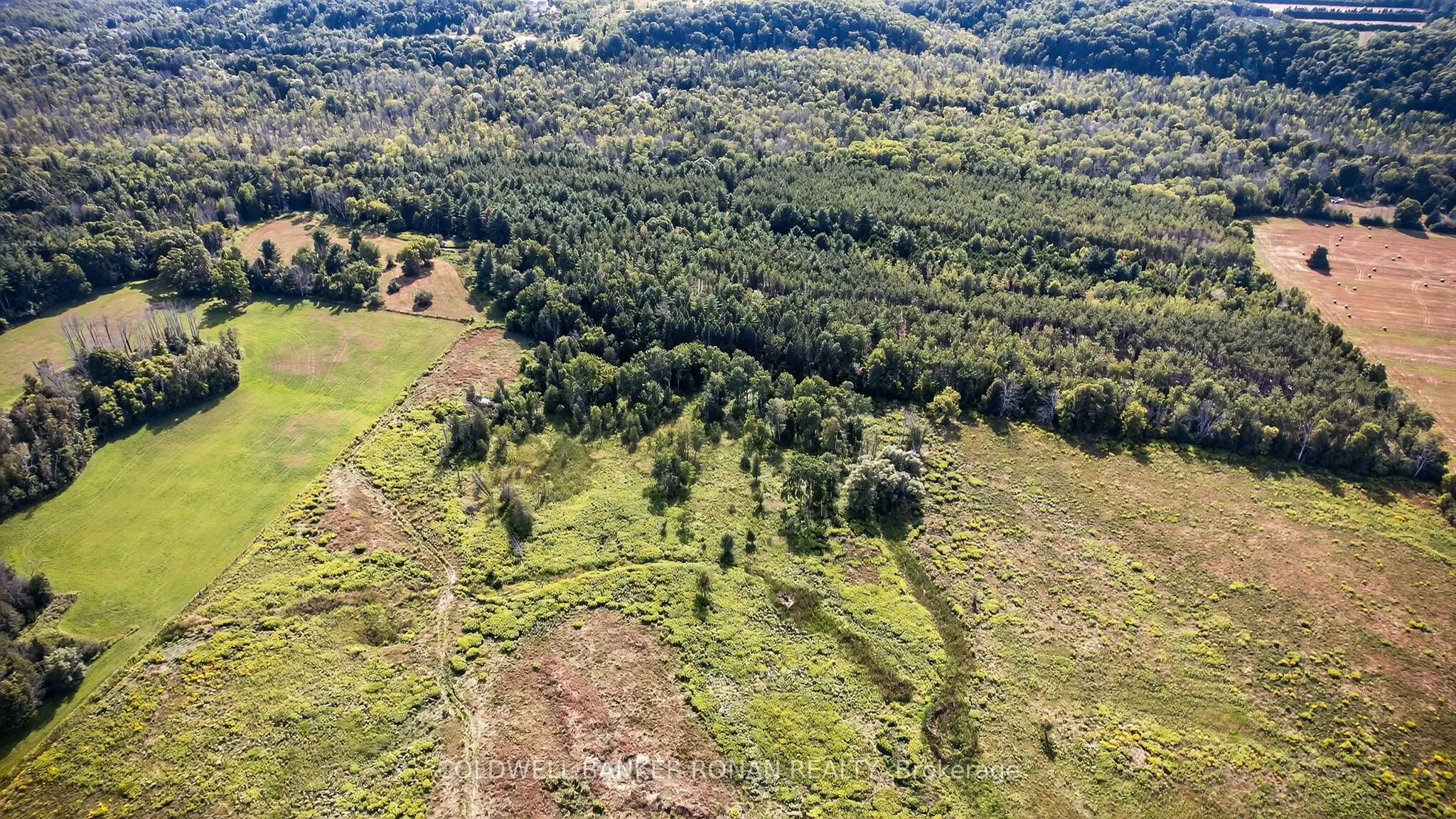 3178 Concession Rd 4