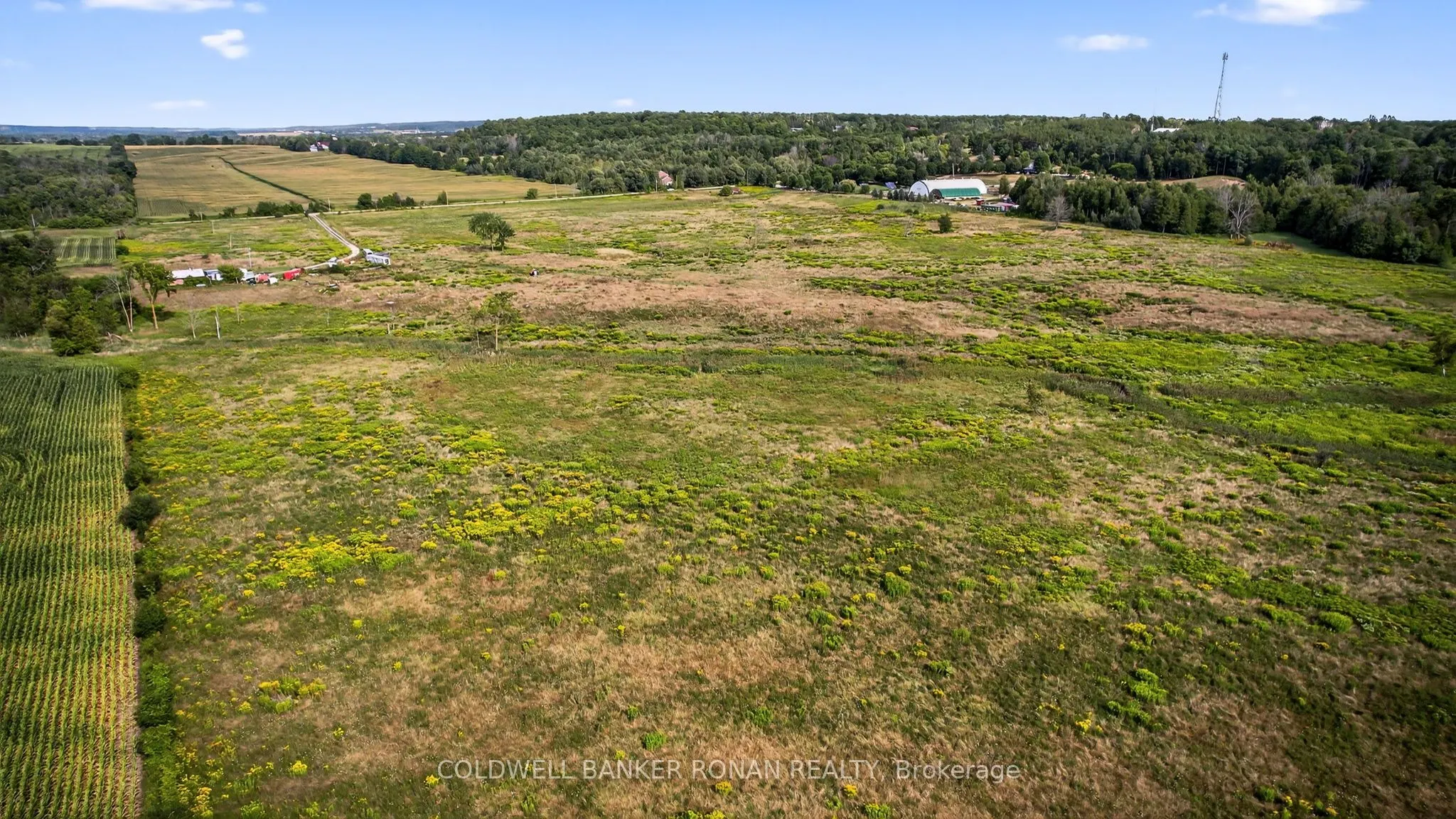 3178 Concession Rd 4