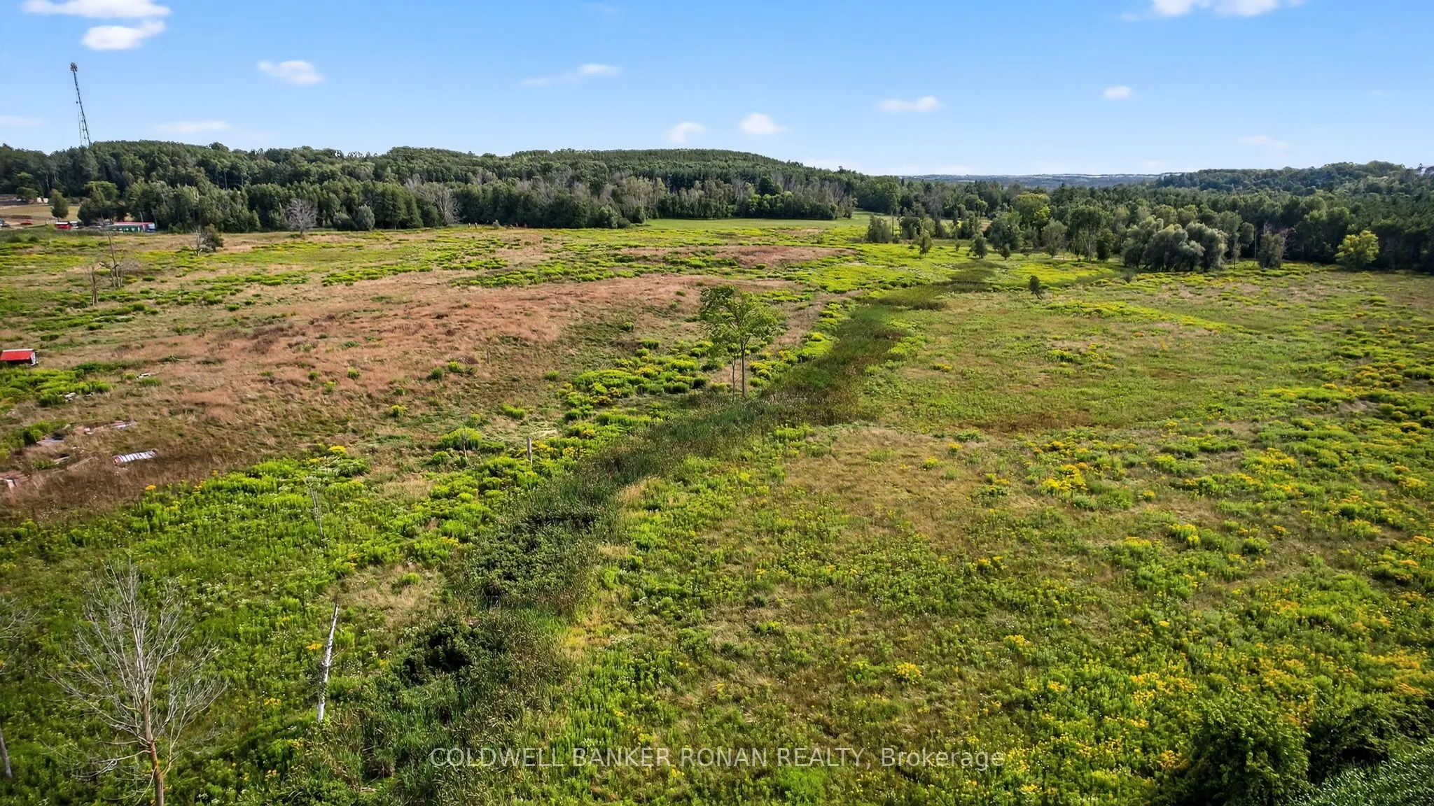 3178 Concession Rd 4