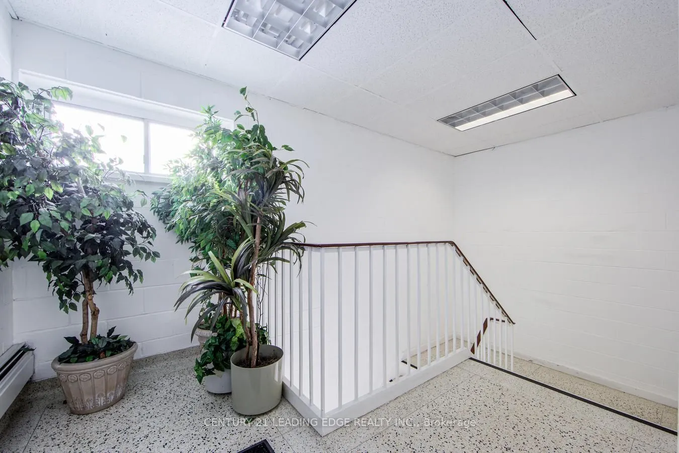 9 Laidlaw Boulevard, #11A