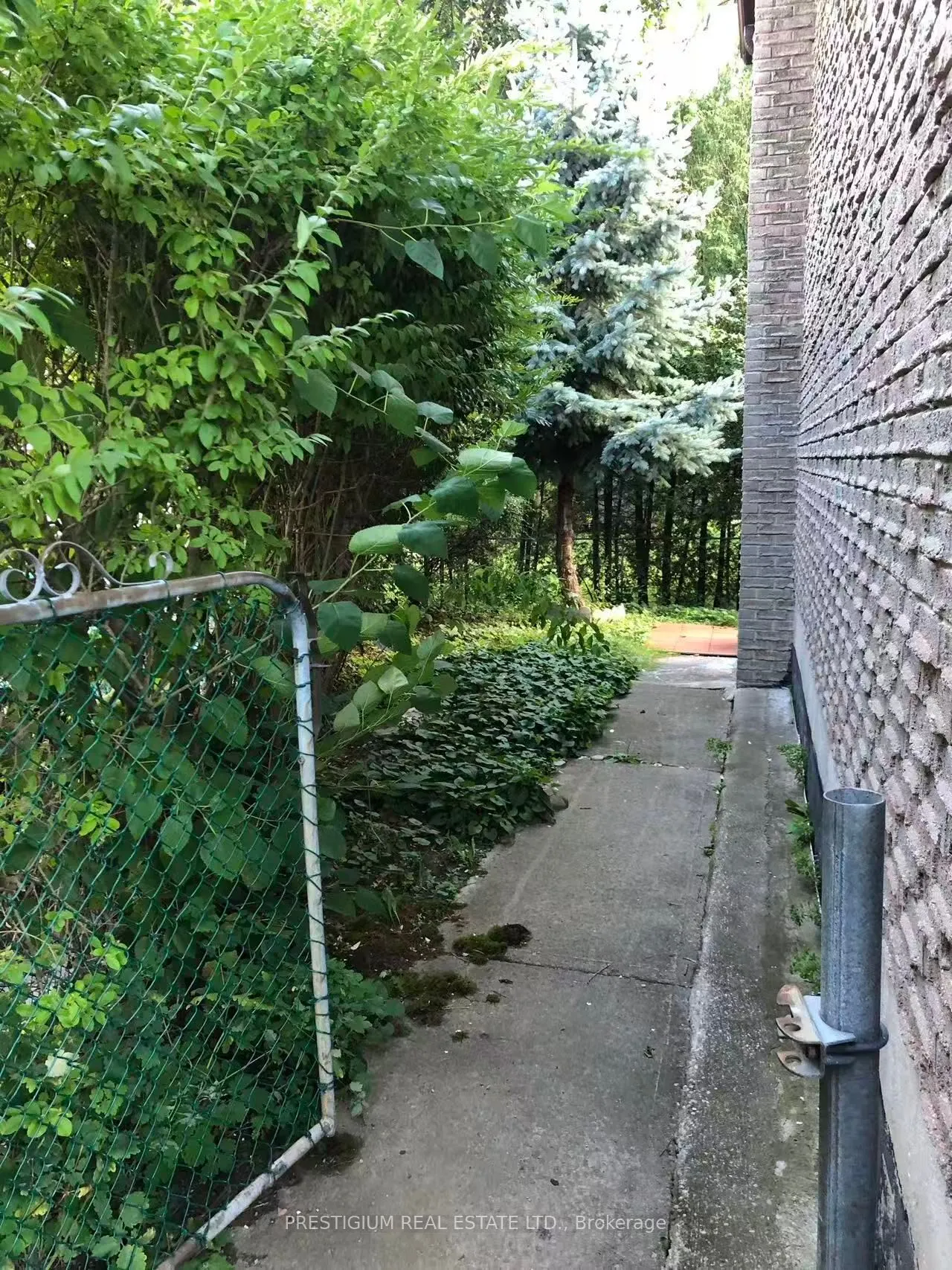 128 Marla Court, #Basement
