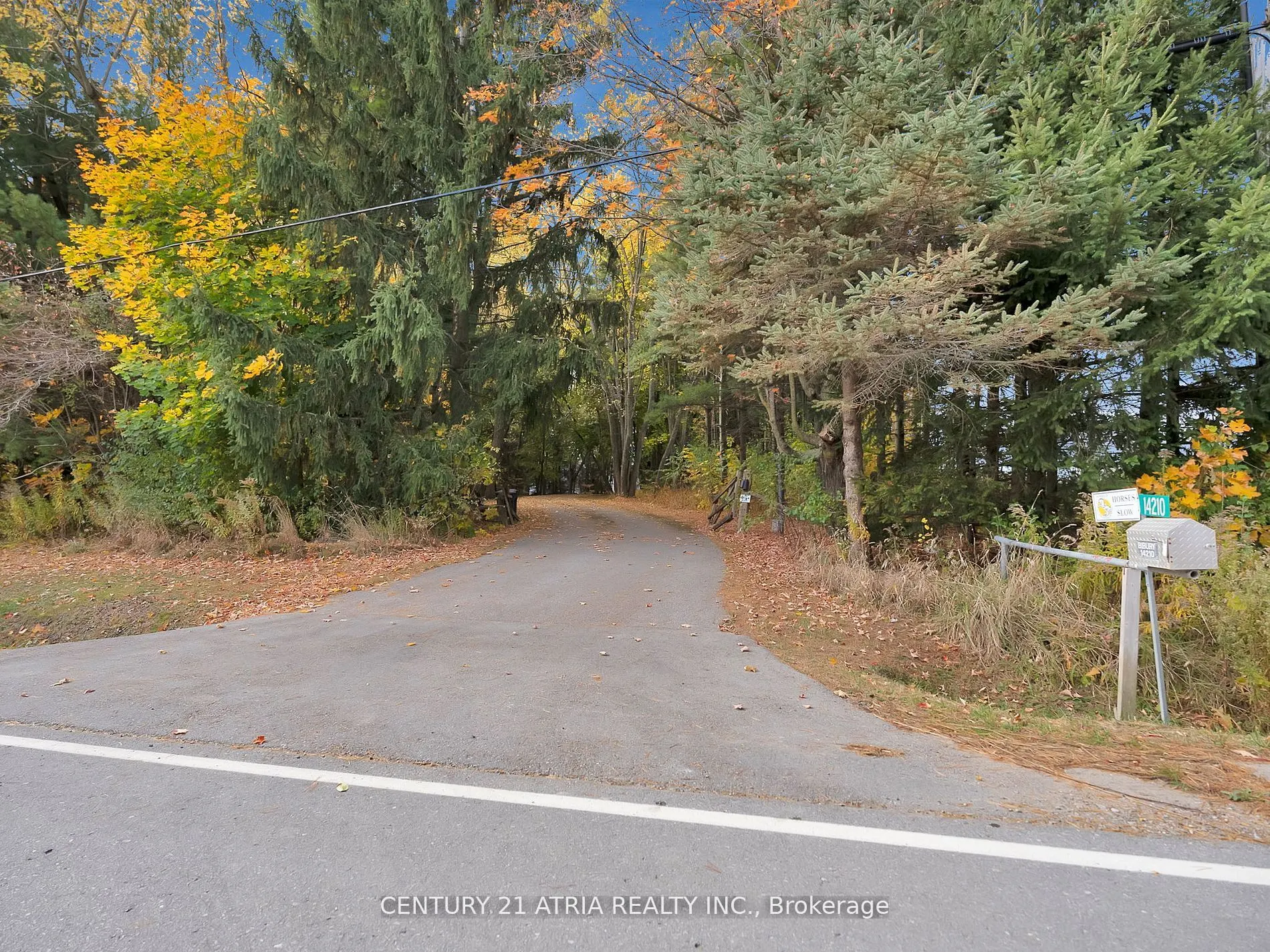 14210 7th Concession Road