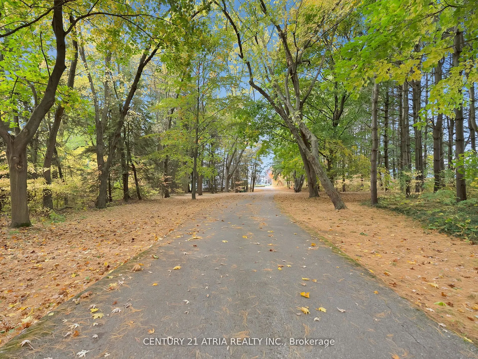 14210 7th Concession Road