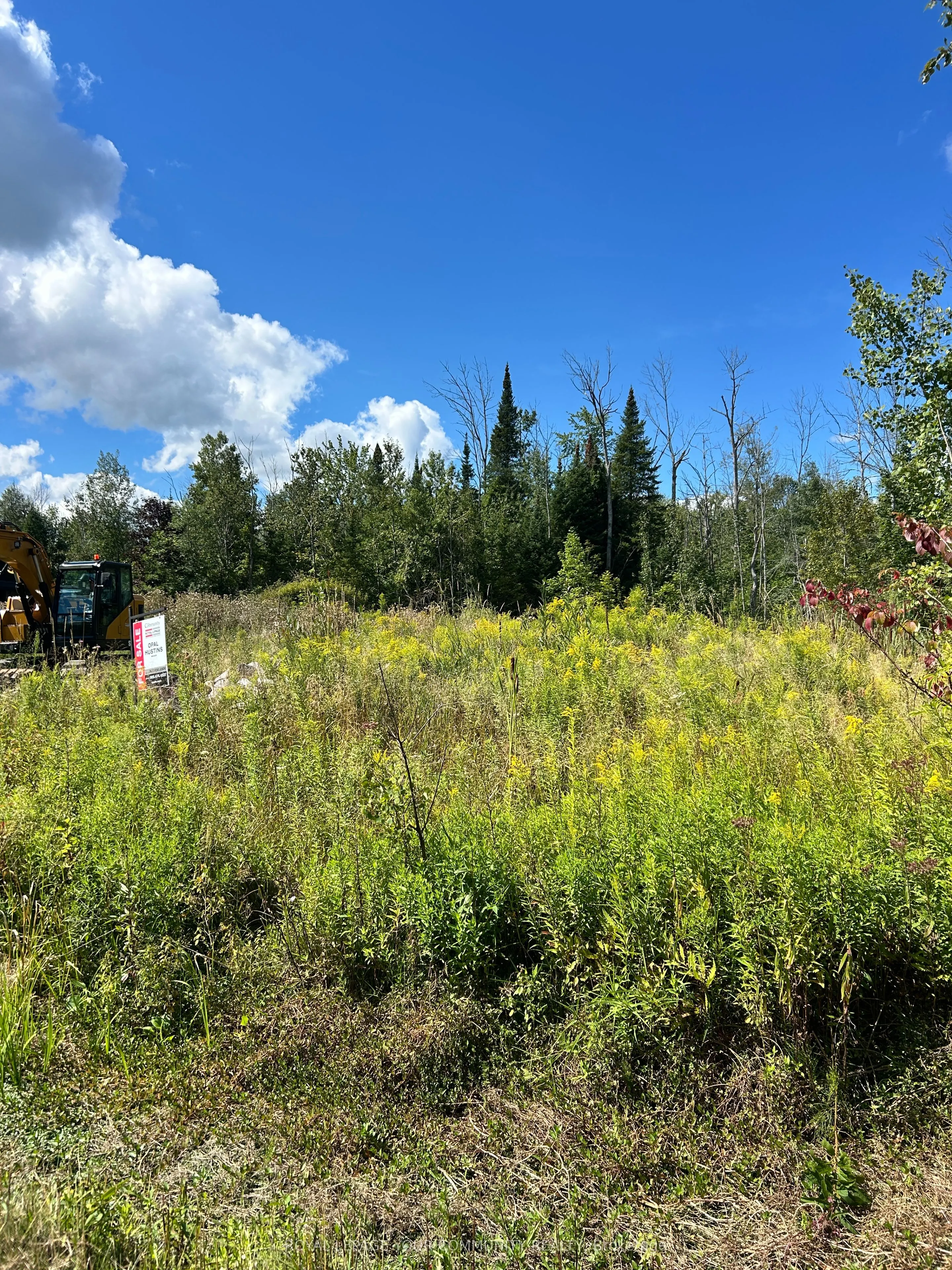 2566 25 Sideroad Road