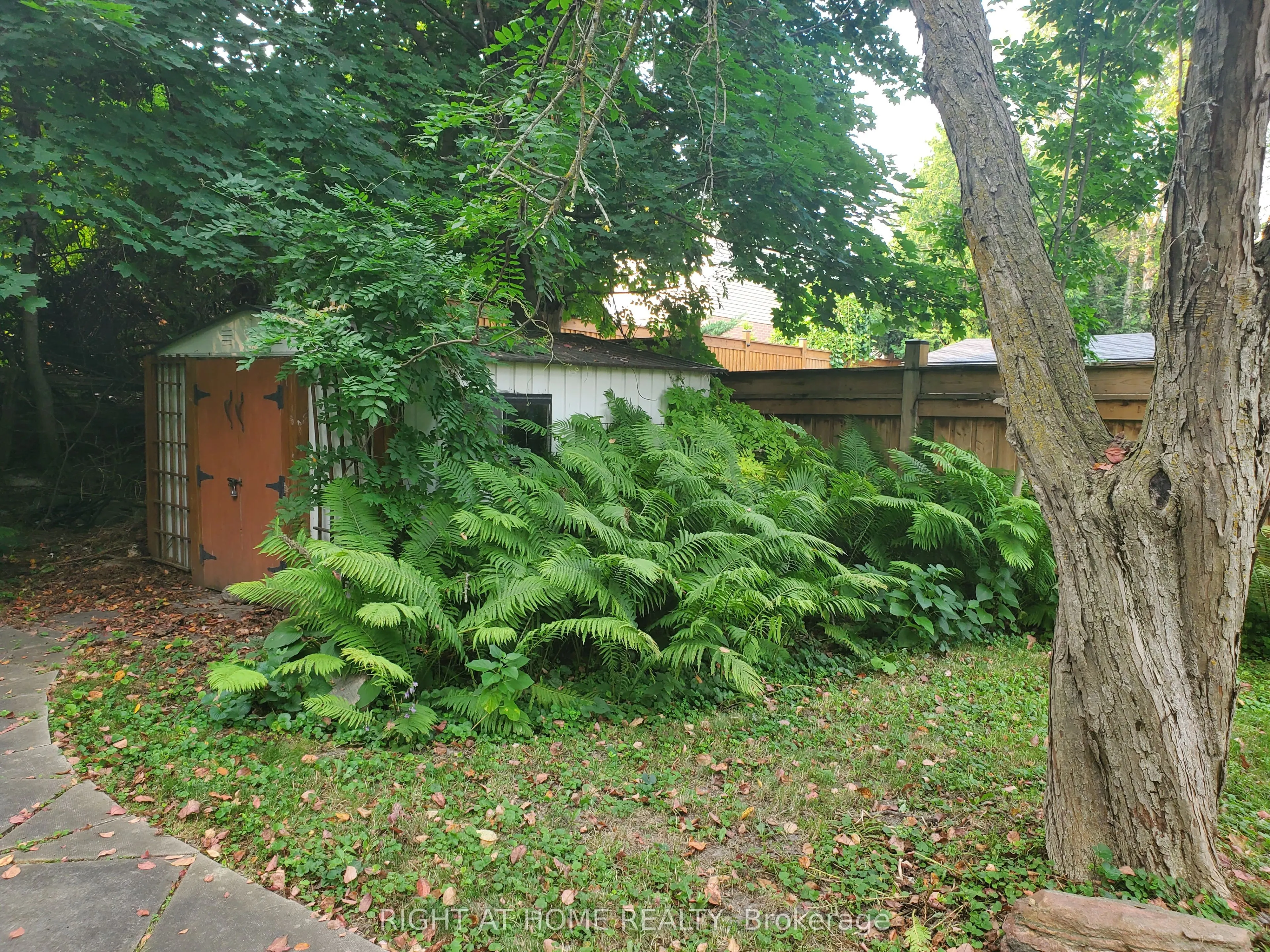 56 Don Mor Drive