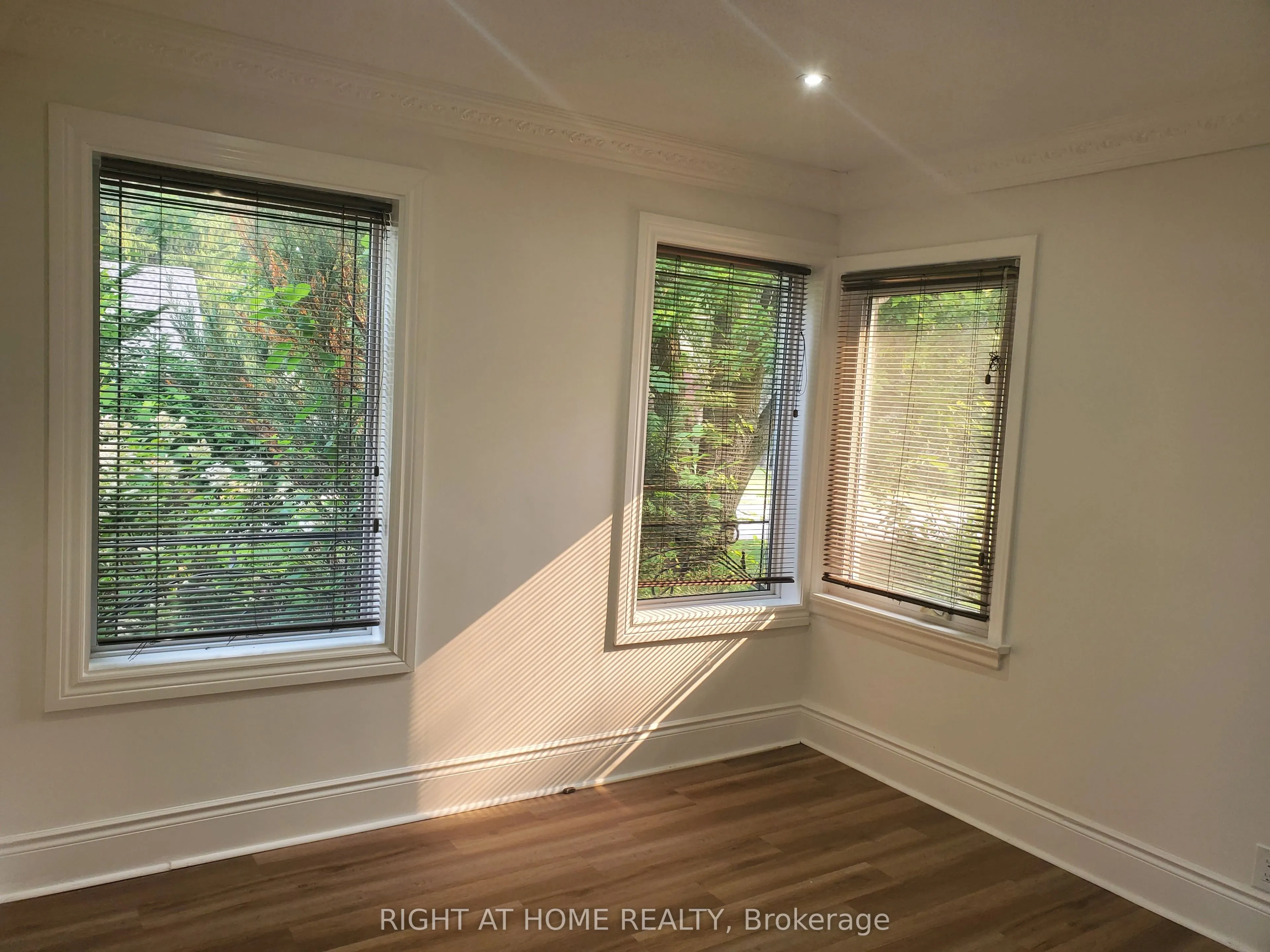 56 Don Mor Drive
