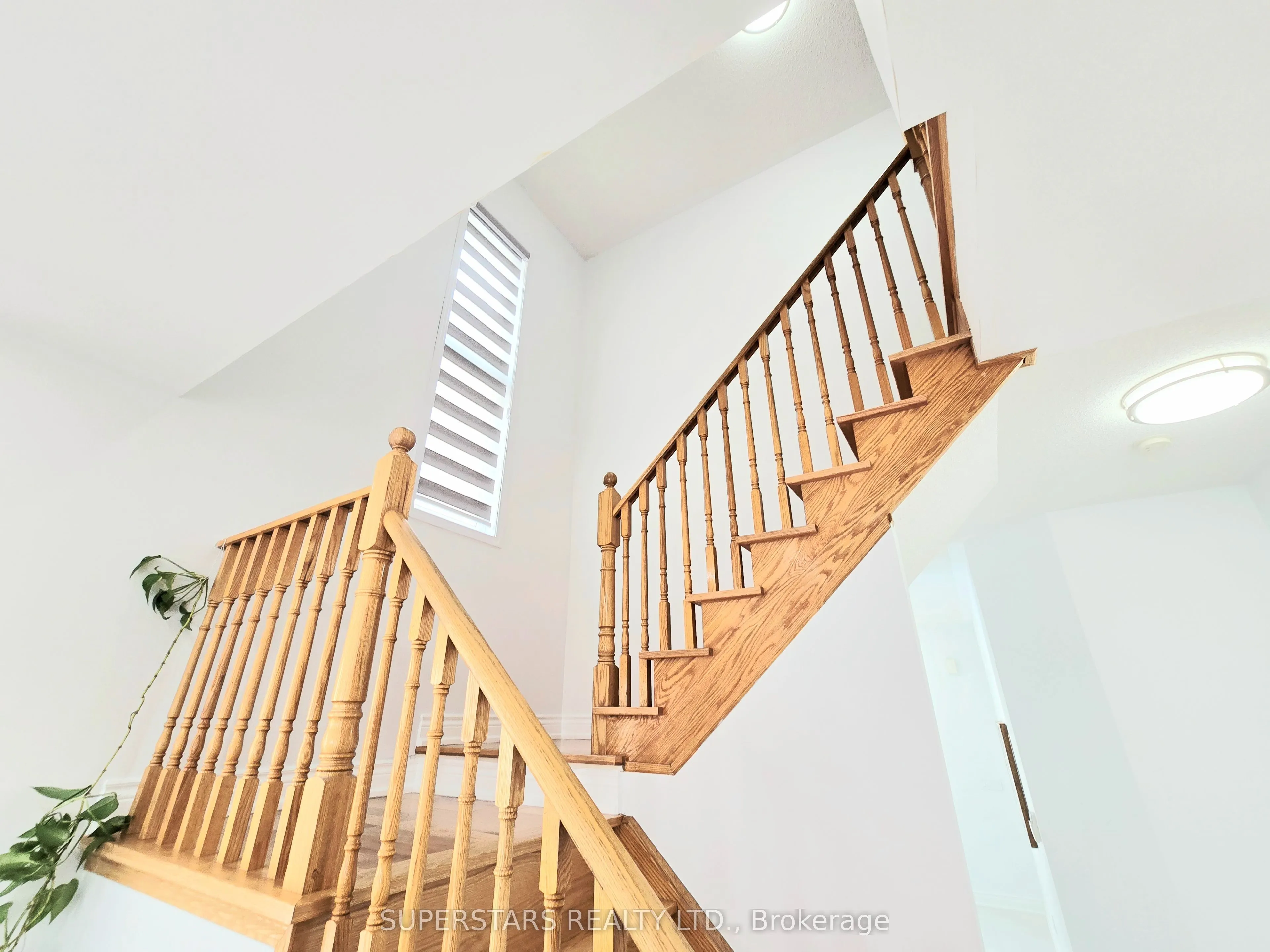 50 Macadam Road