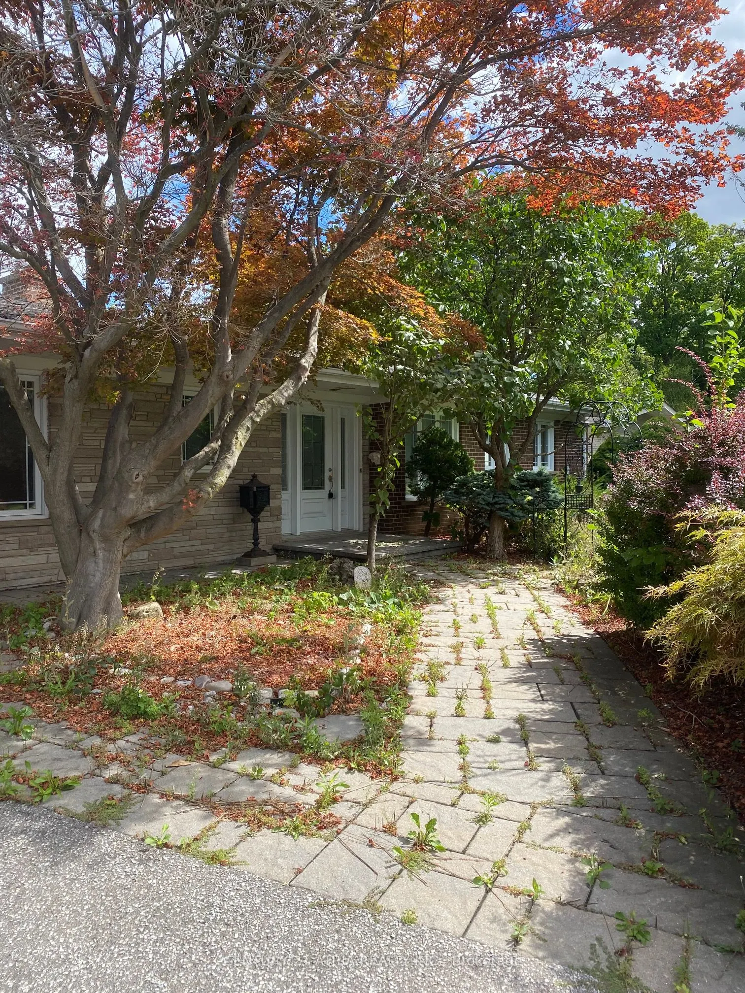 58 Almond Avenue
