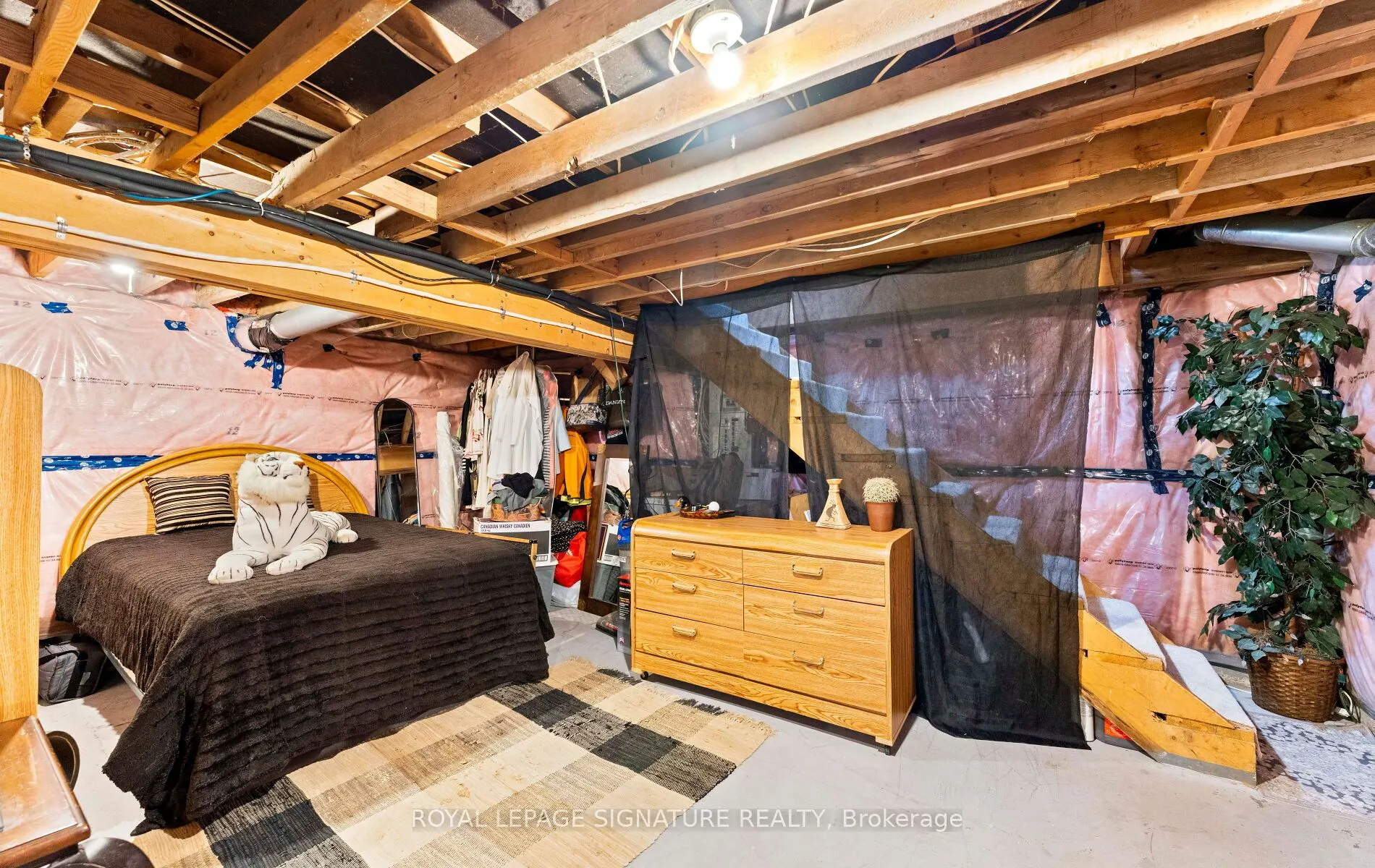 17 Mustard Street