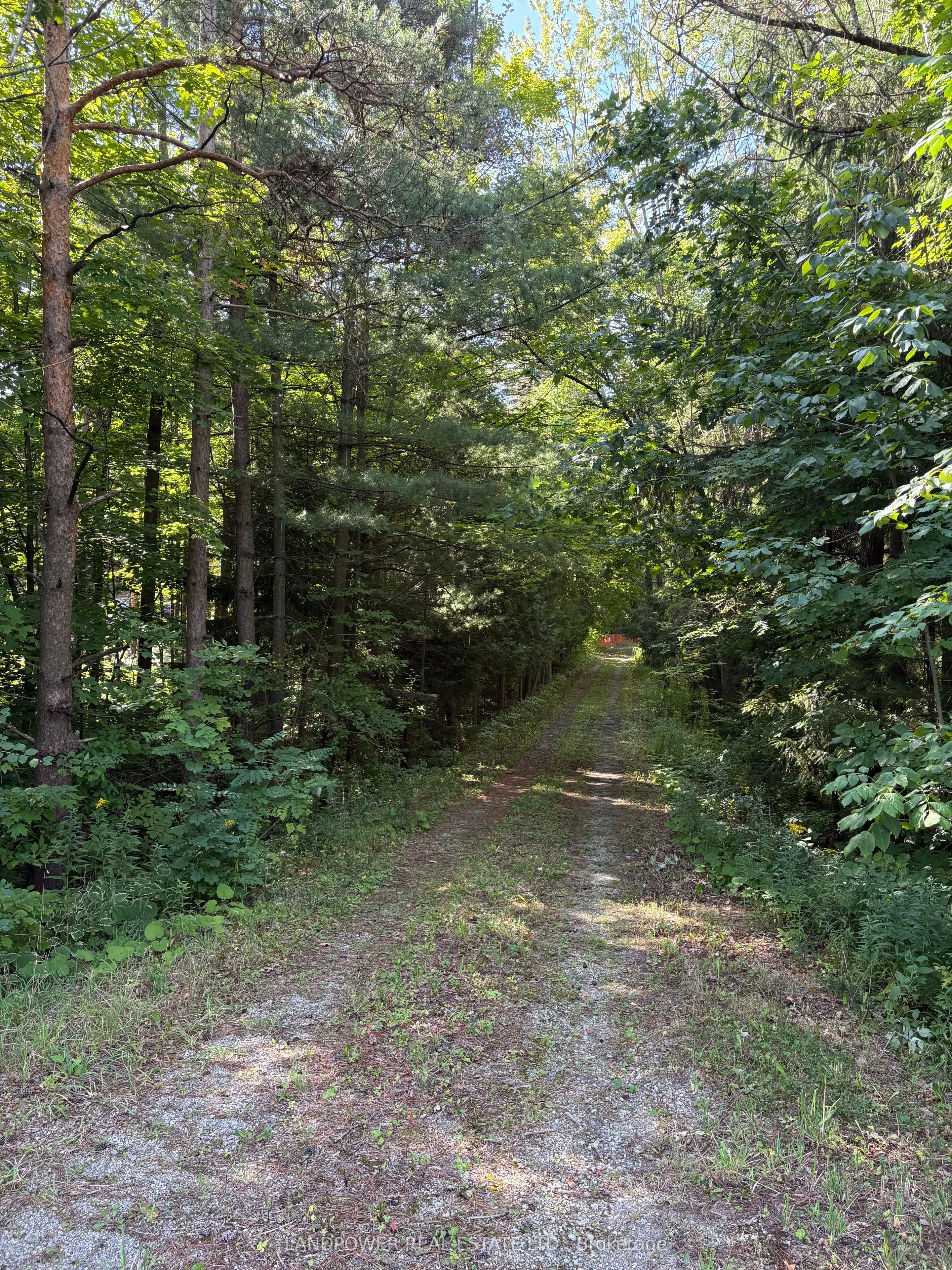 4035 Aurora Road