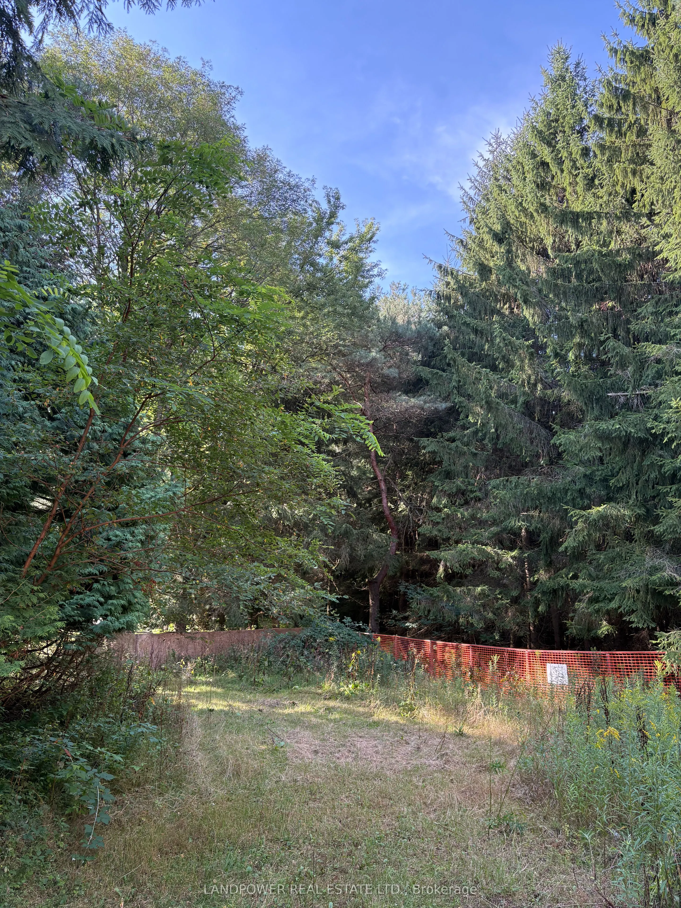 4035 Aurora Road