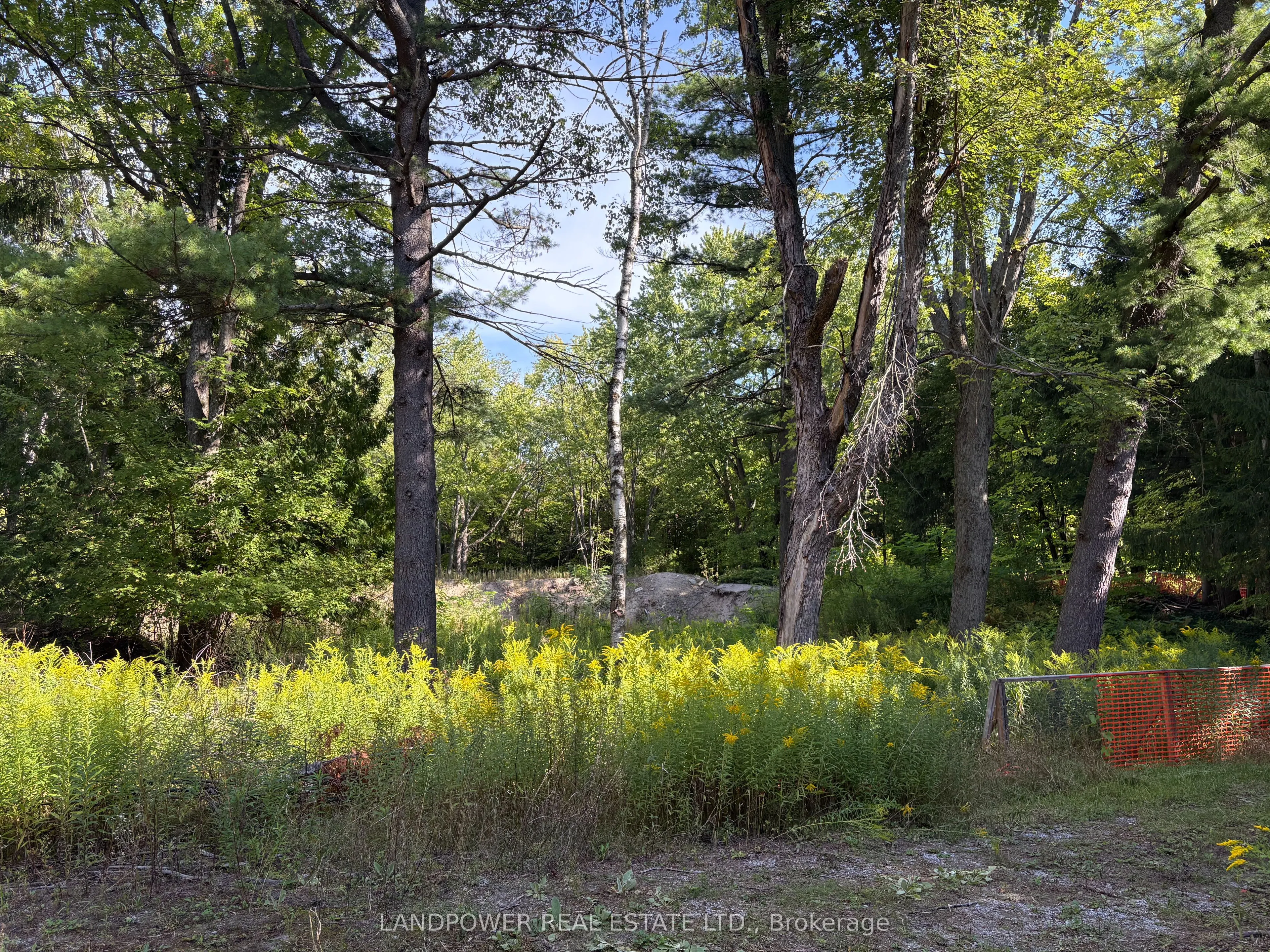 4035 Aurora Road