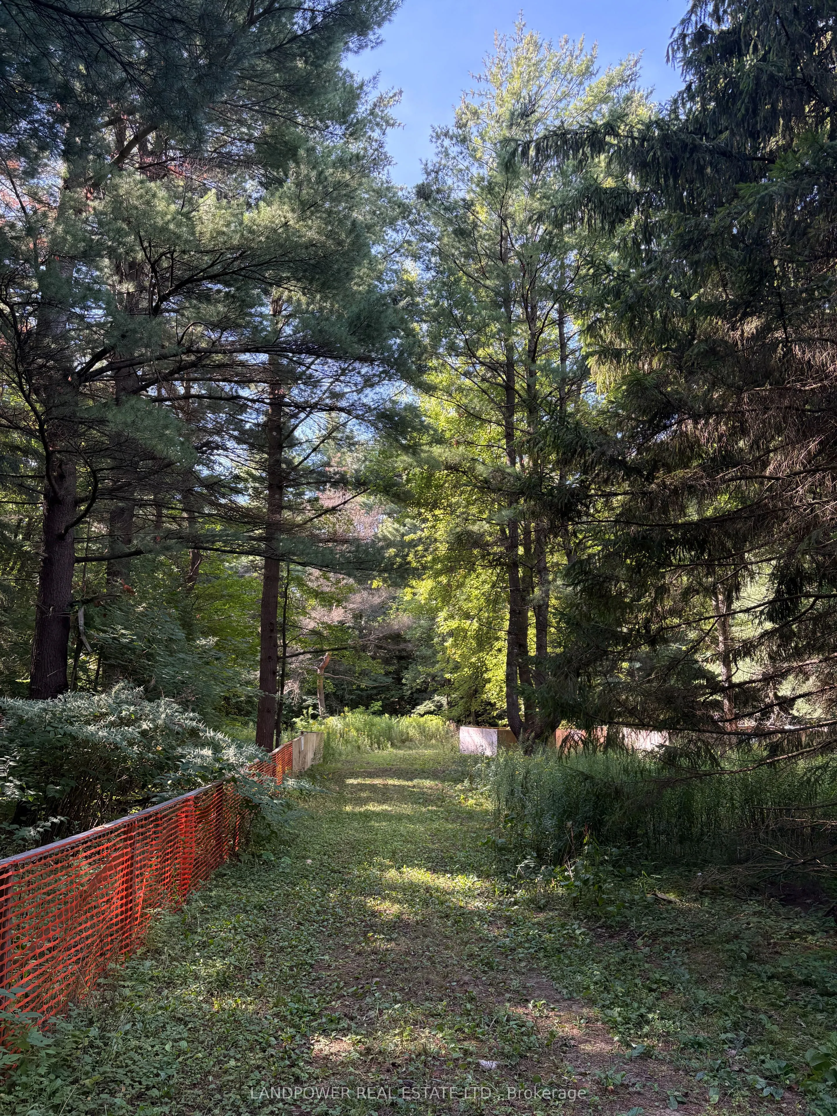 4035 Aurora Road