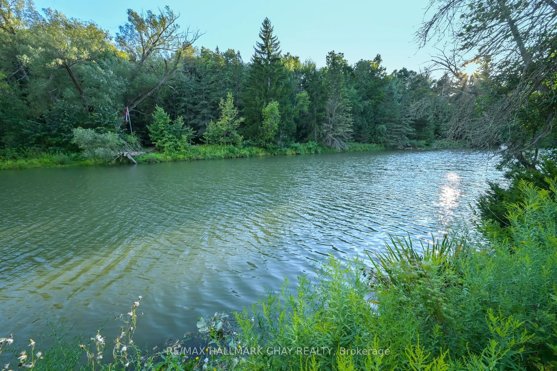 6047 Hwy 89, #Lot 90