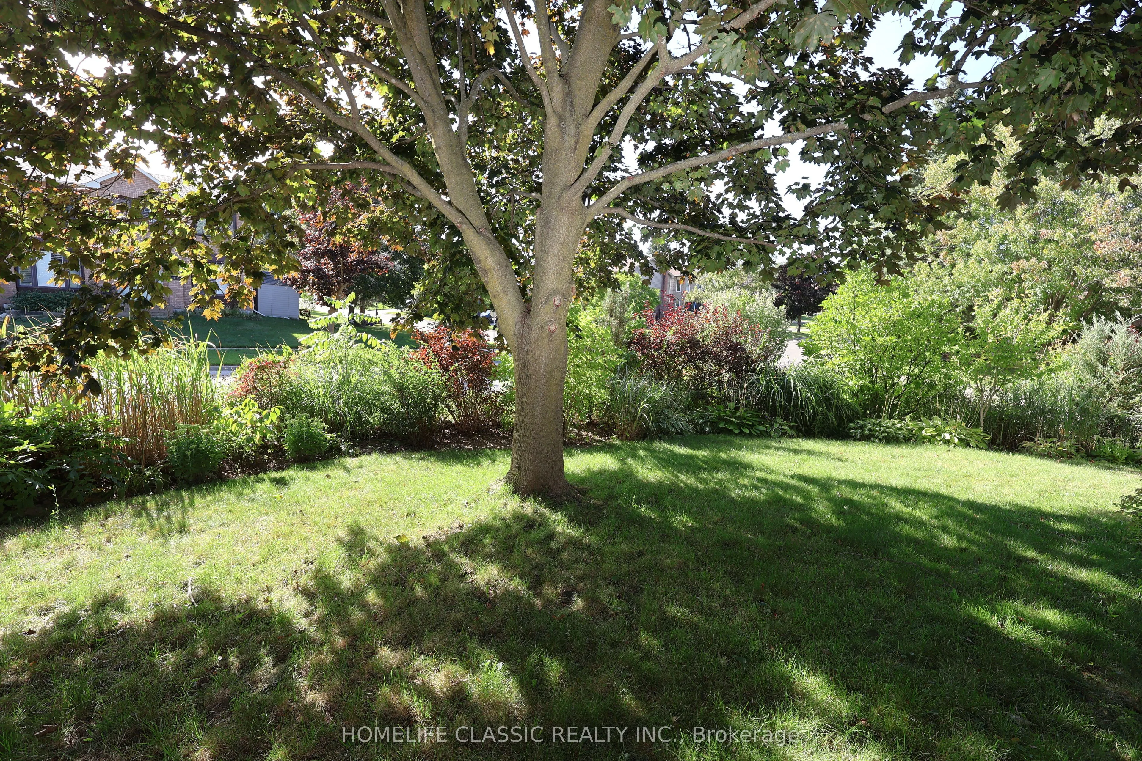354 Bexhill Road