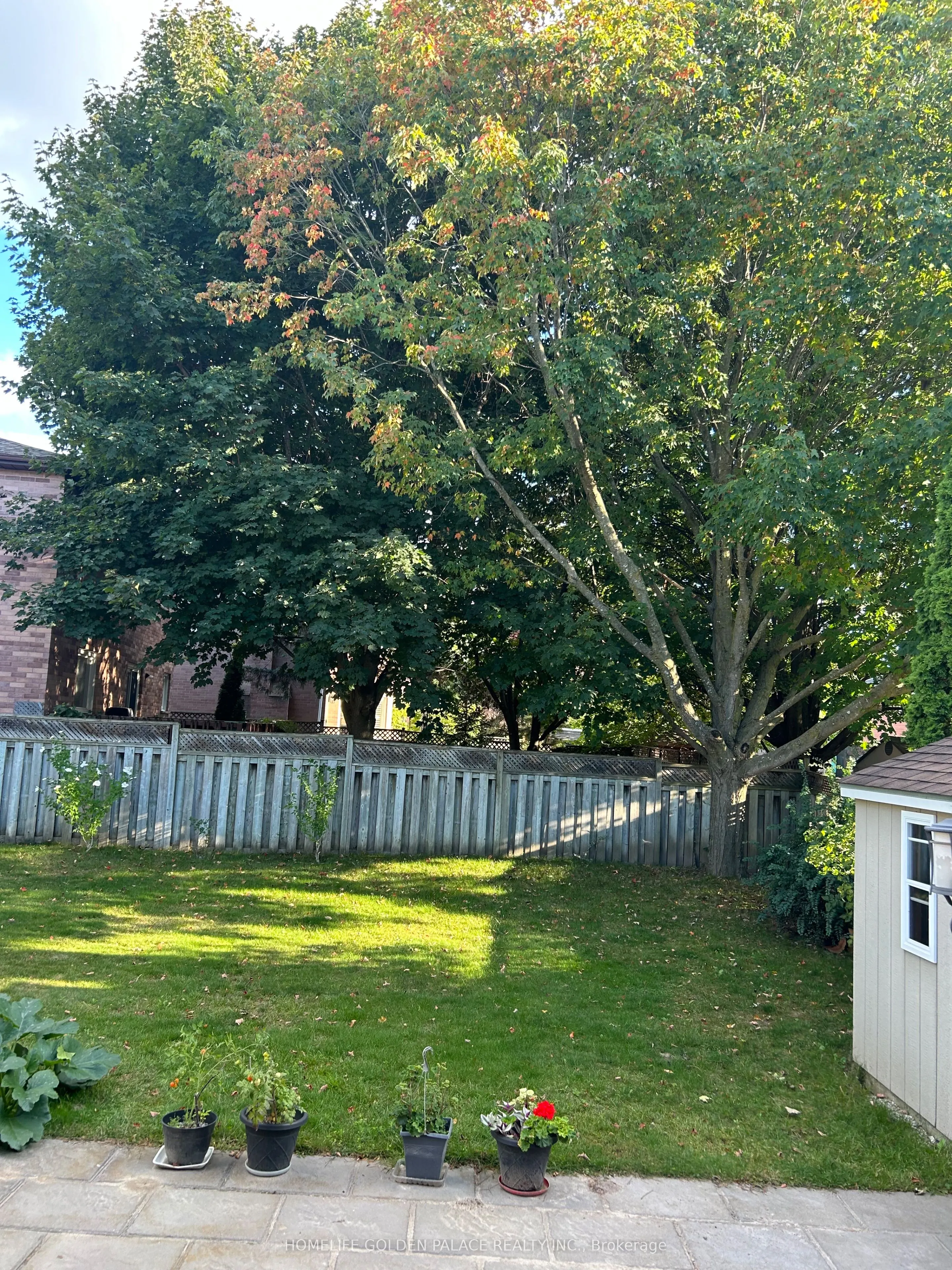 451 Traviss Drive