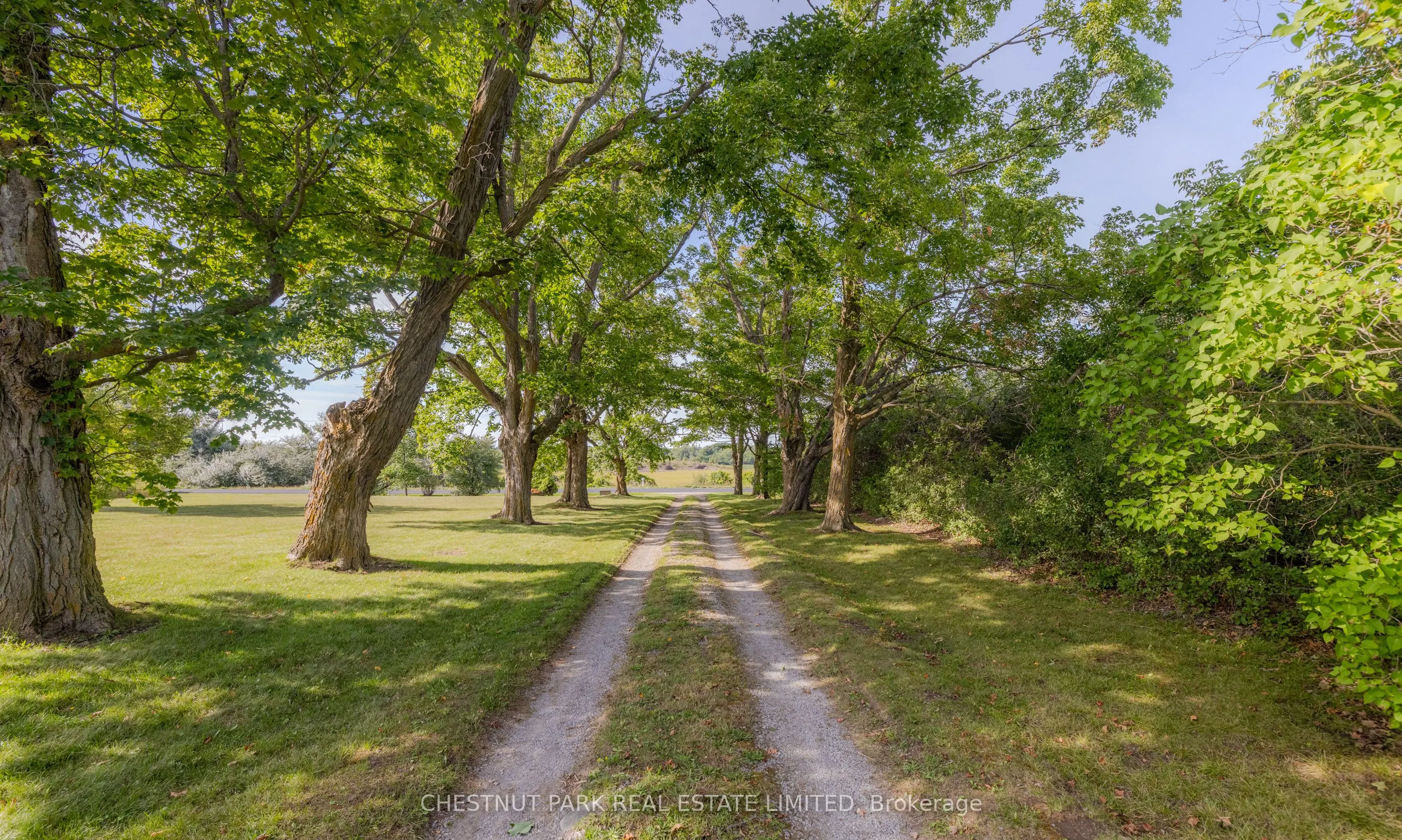 2020 Concession Rd 11