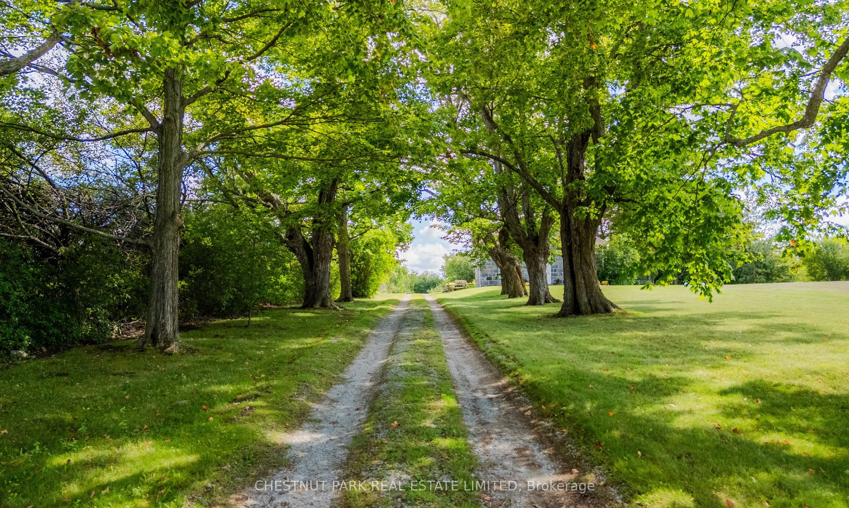 2020 Concession Rd 11