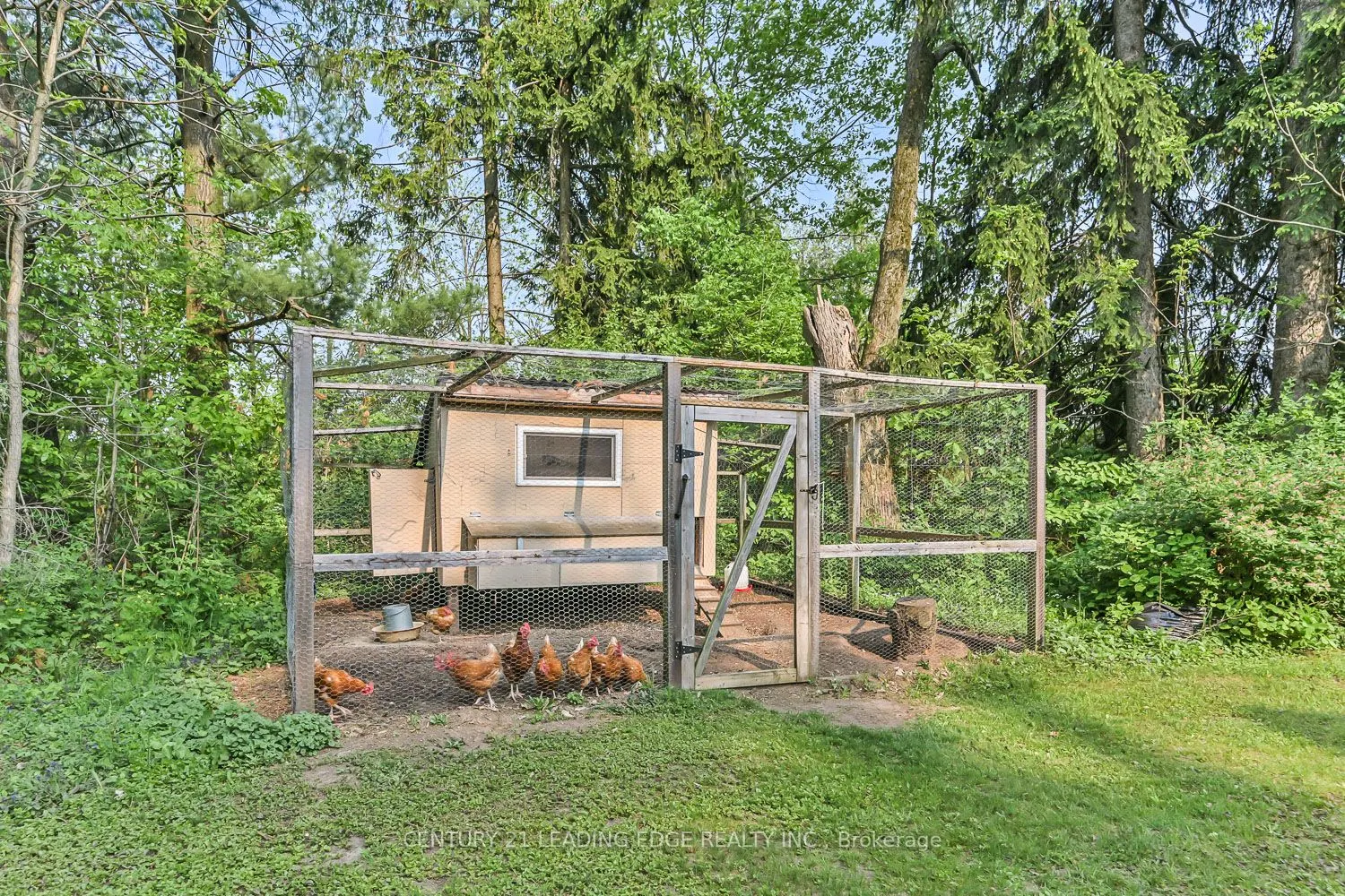 5845 Aurora Road
