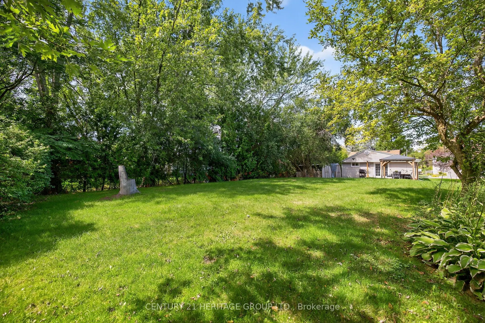 67 Dorothy Avenue