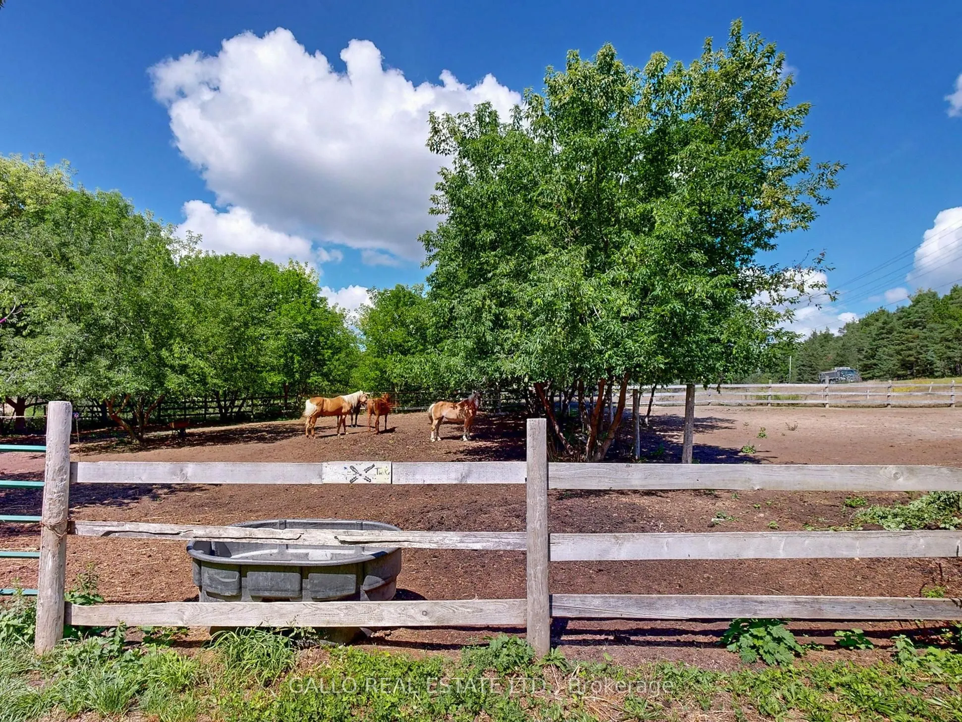 16558 Highway 48