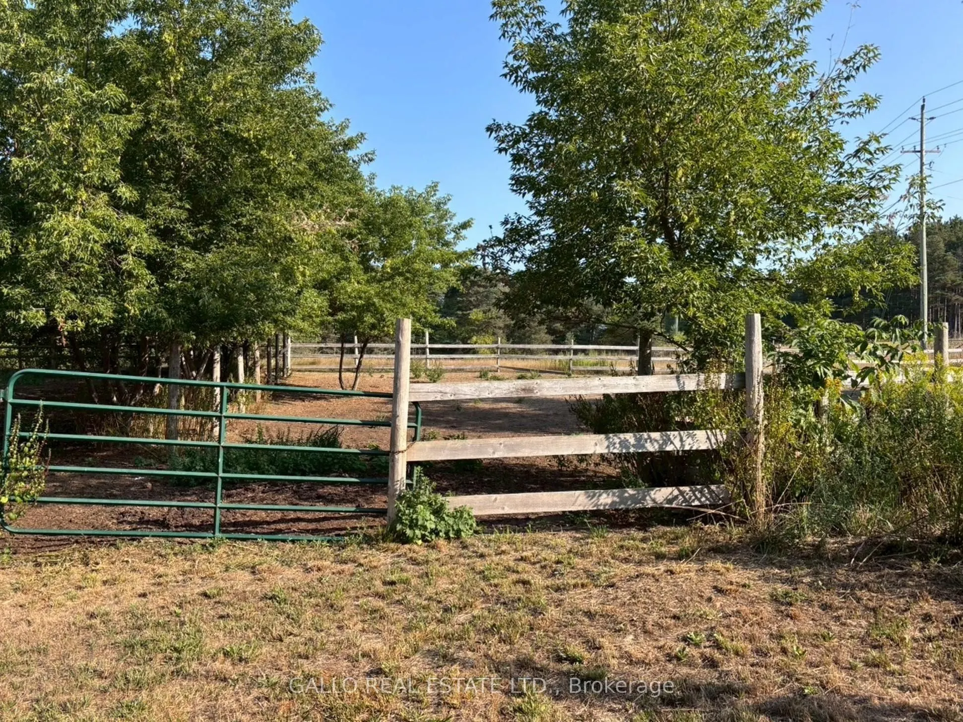 16558 Highway 48