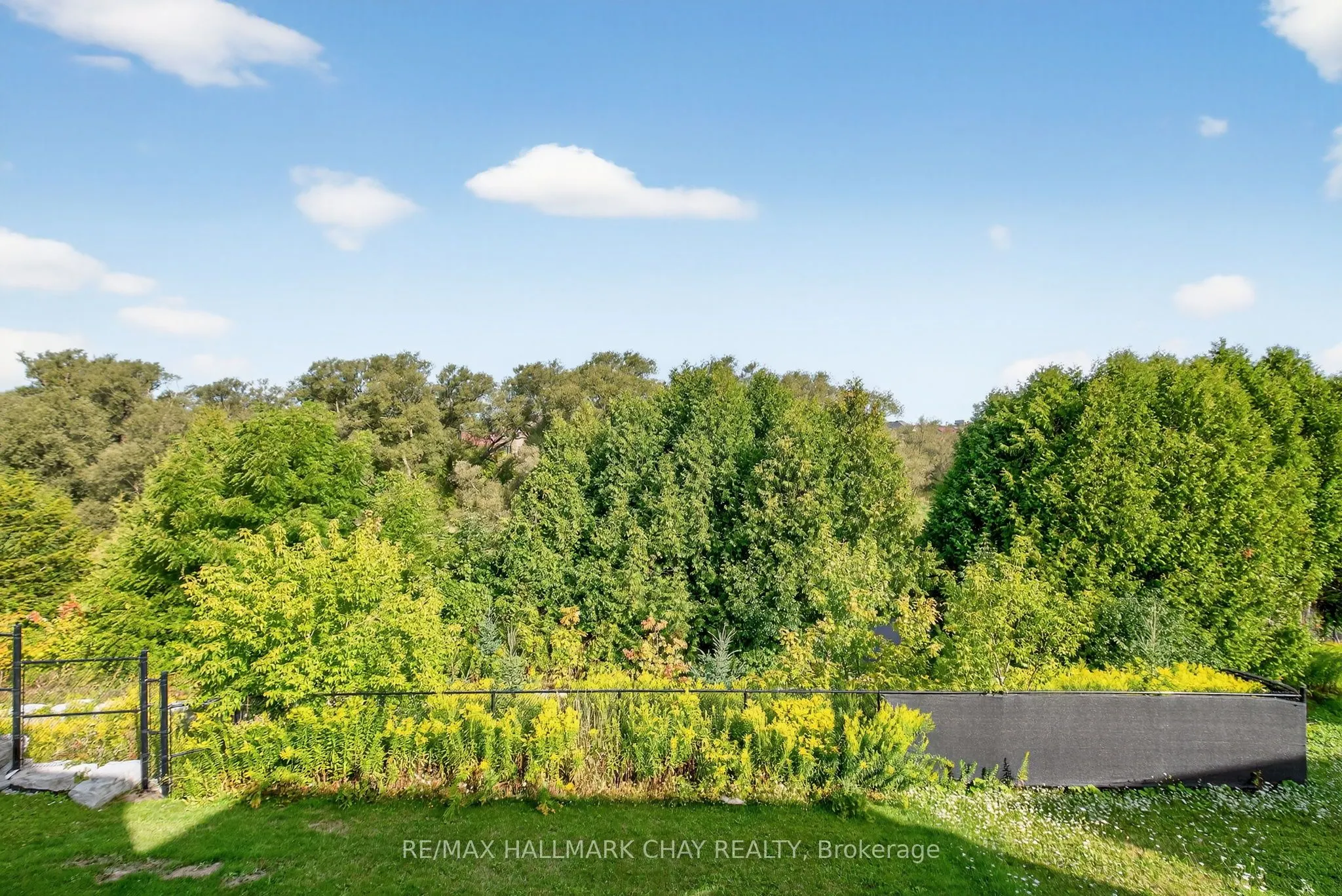 60 Briarfield Avenue