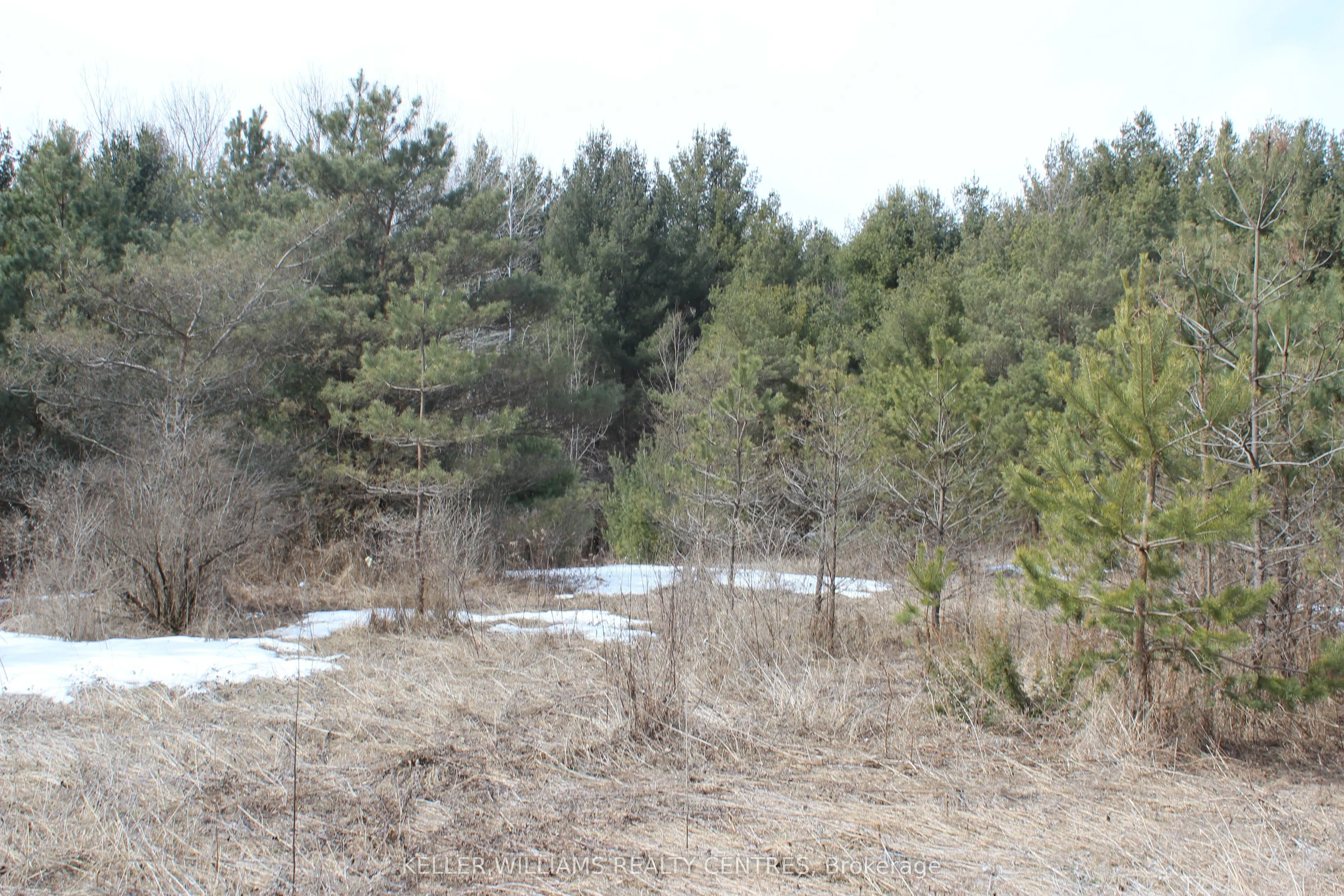 TBA Concession Rd 2
