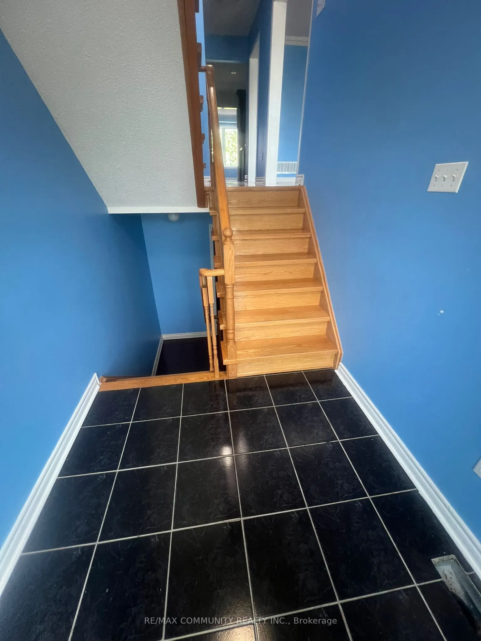 29 Sassafras Circle