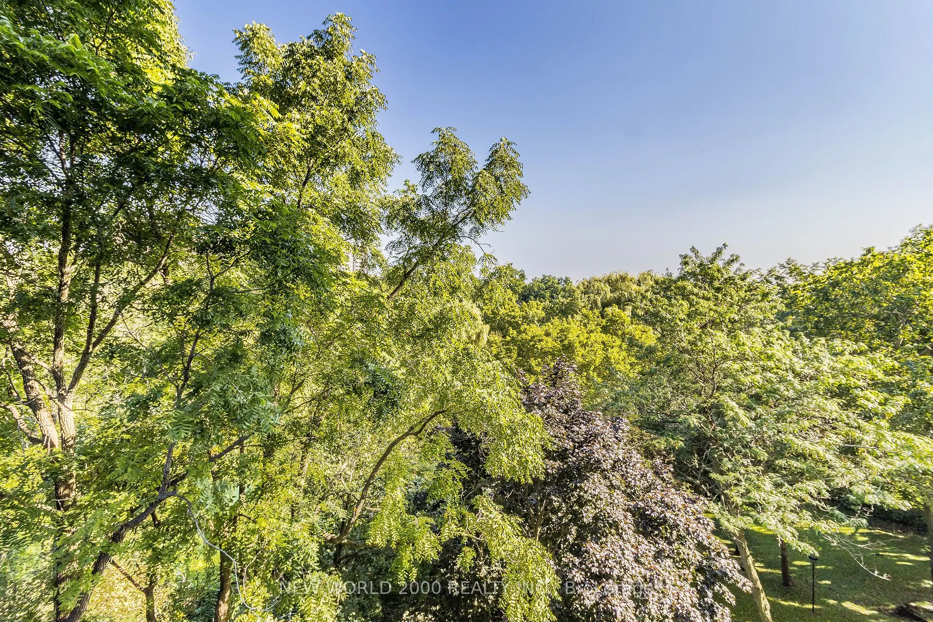 7811 Yonge Street, #410