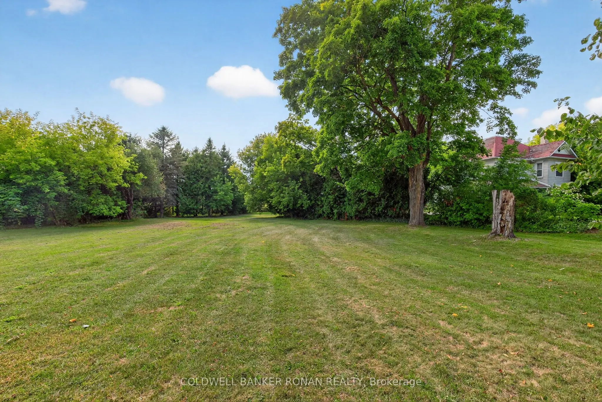 1516 17th Side Road