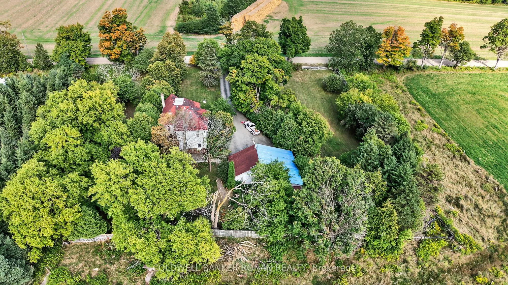 1516 17th Side Road