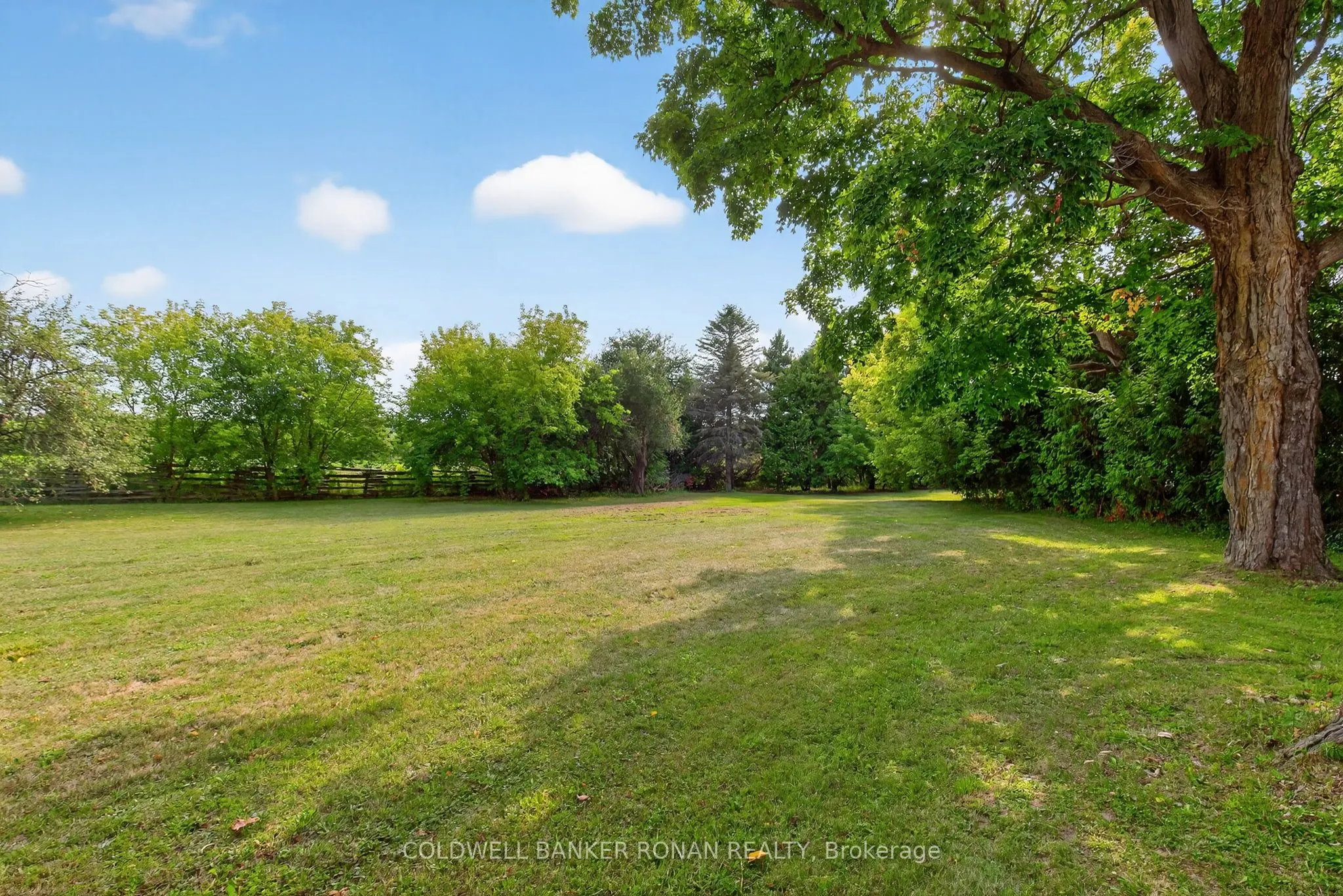1516 17th Side Road