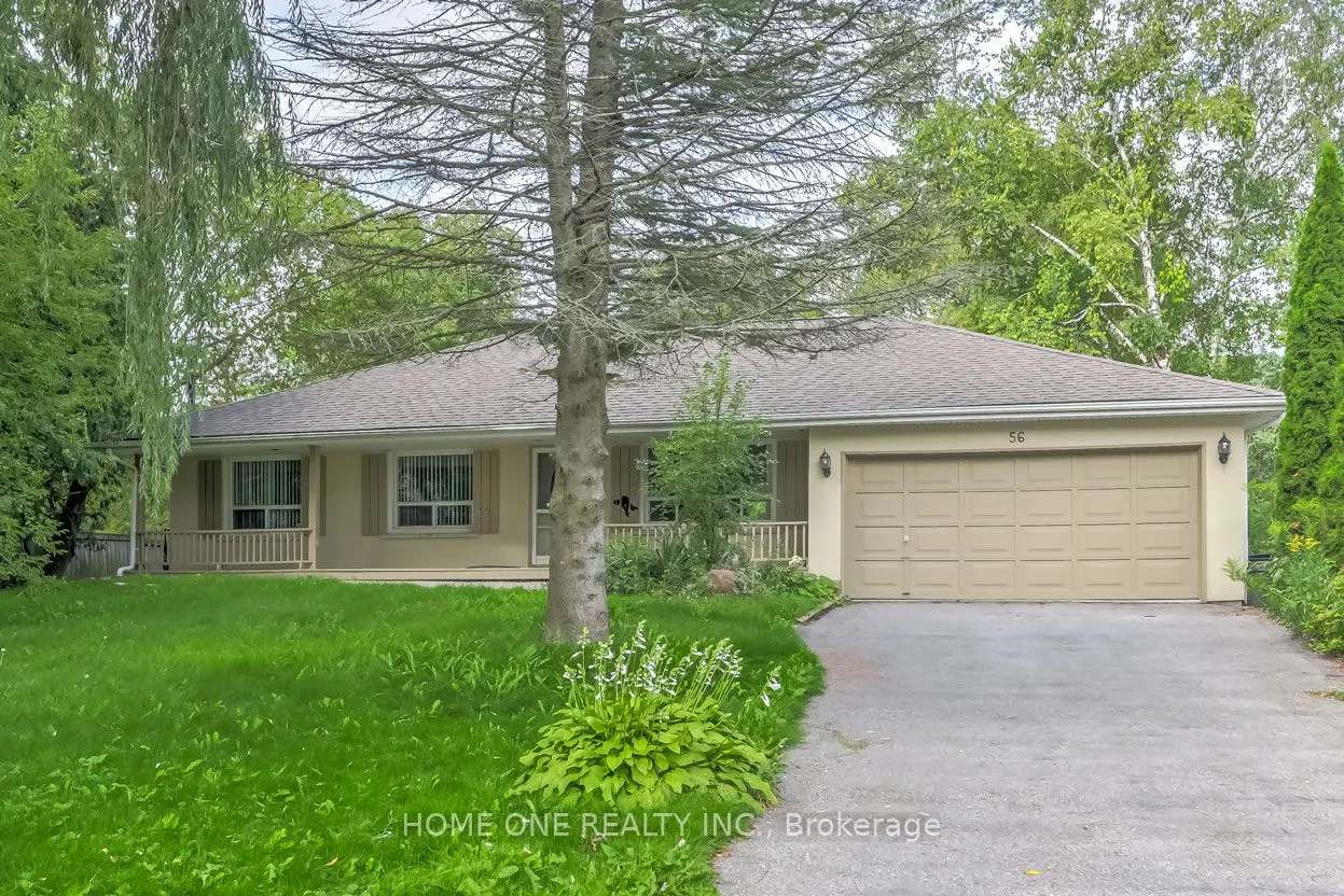 56 Fergus Avenue, #Main Fl