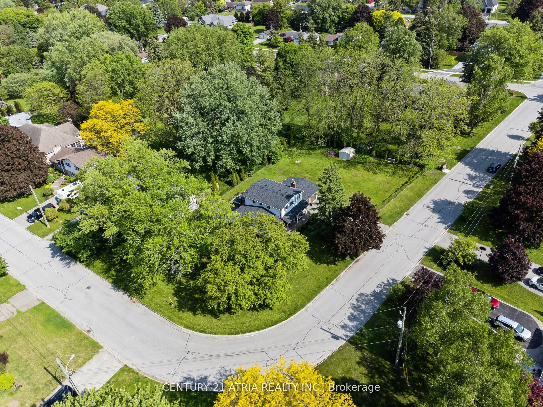 7 May Avenue
