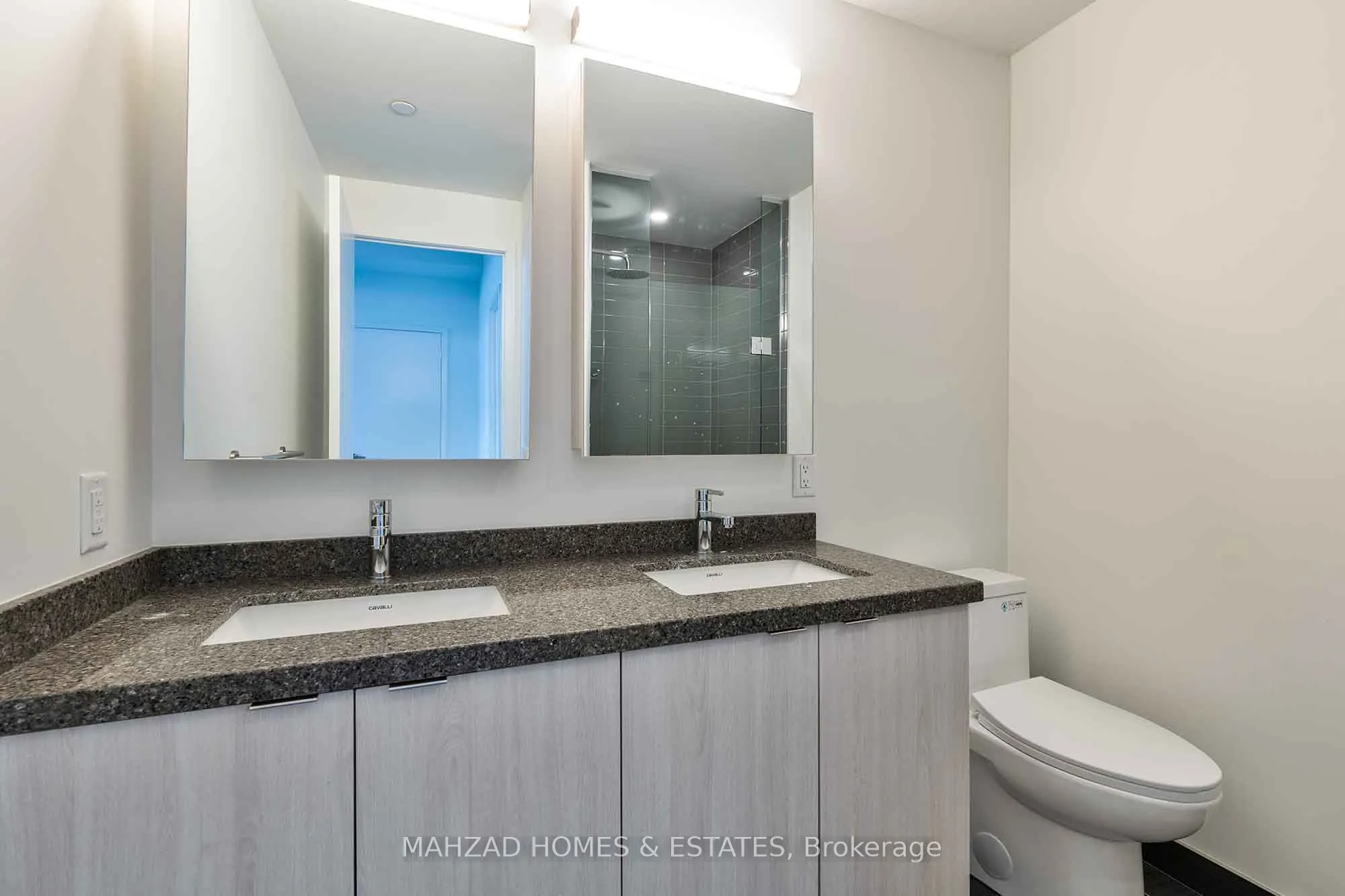 3 Rosewater Street, #1710 W