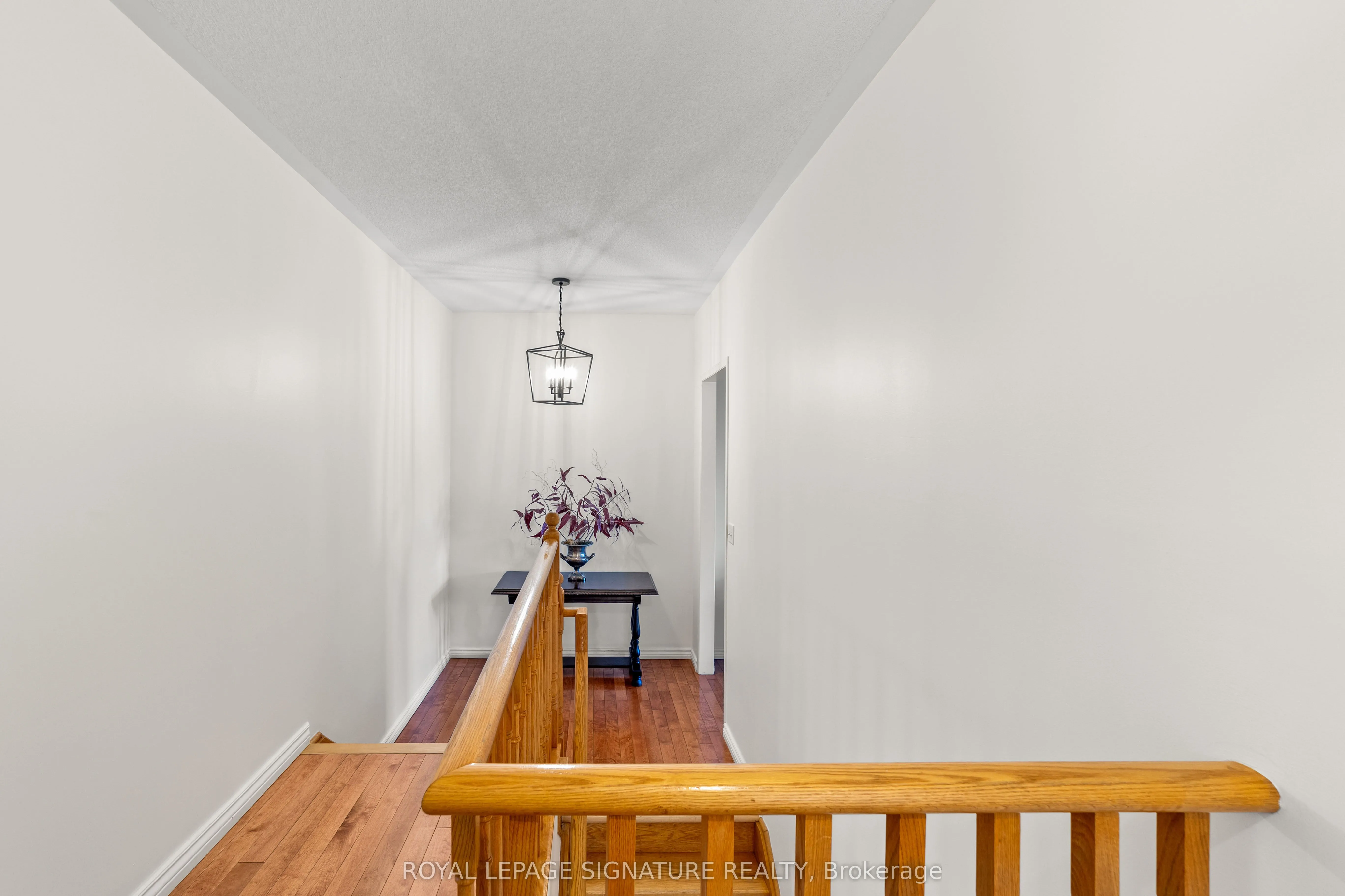 46 Trish Drive