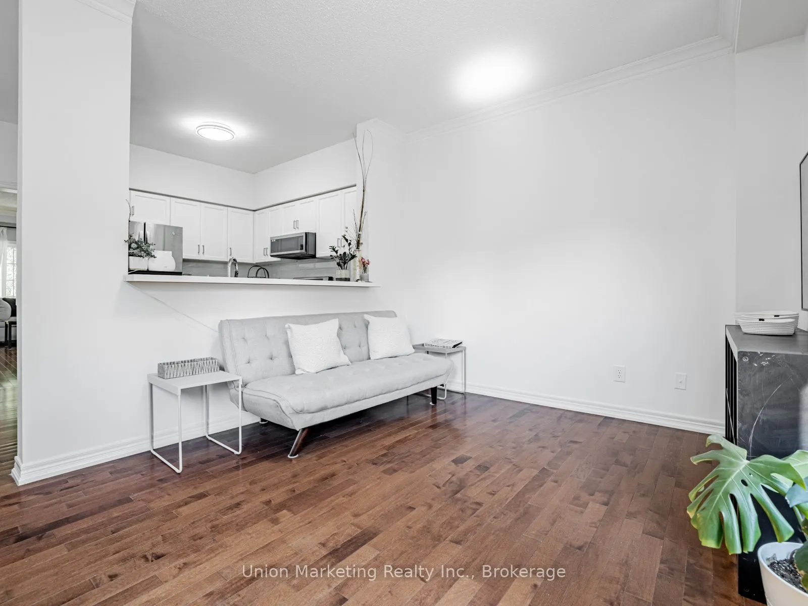 35 Luxton Avenue