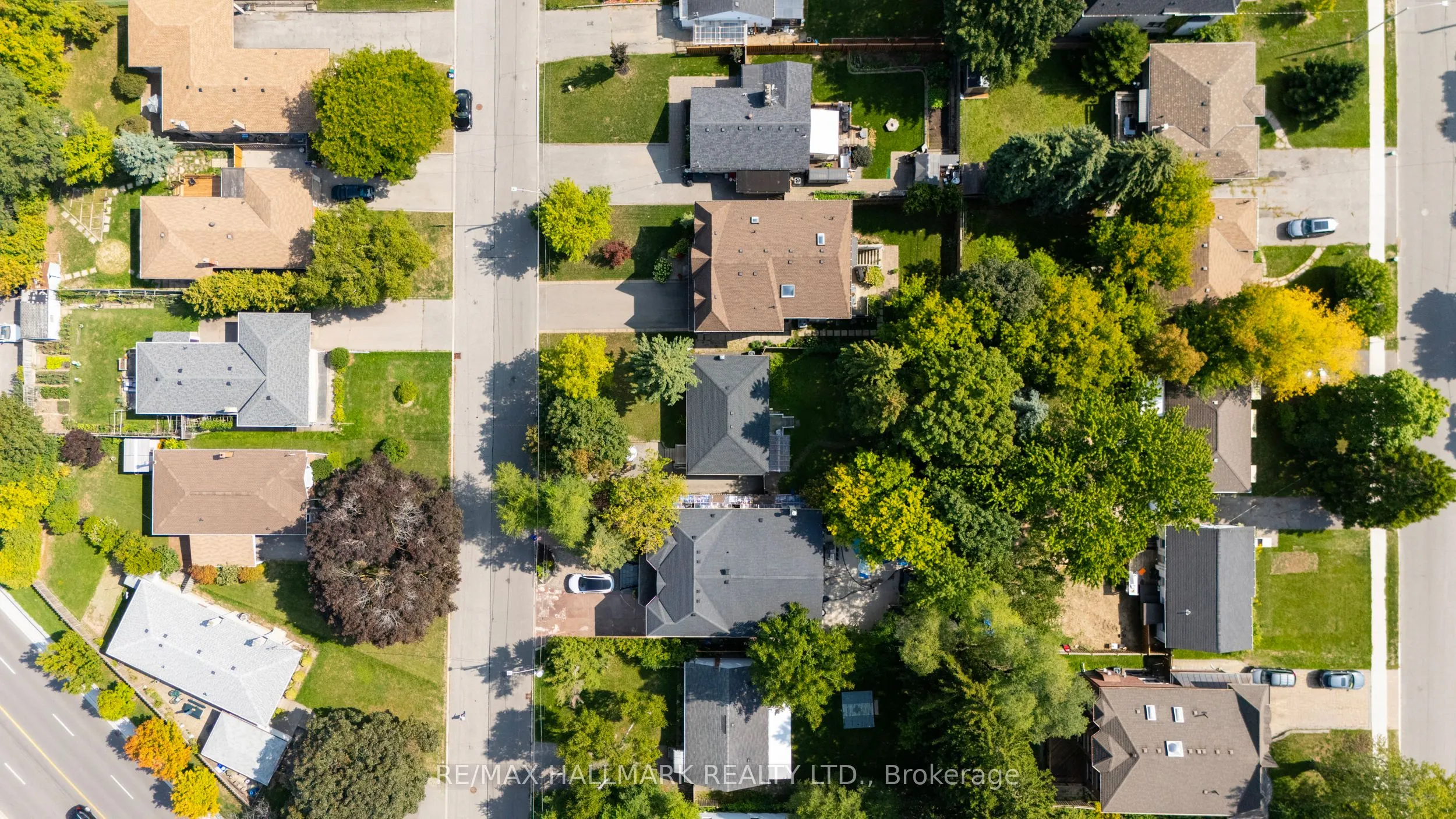 43 Meadowview Avenue