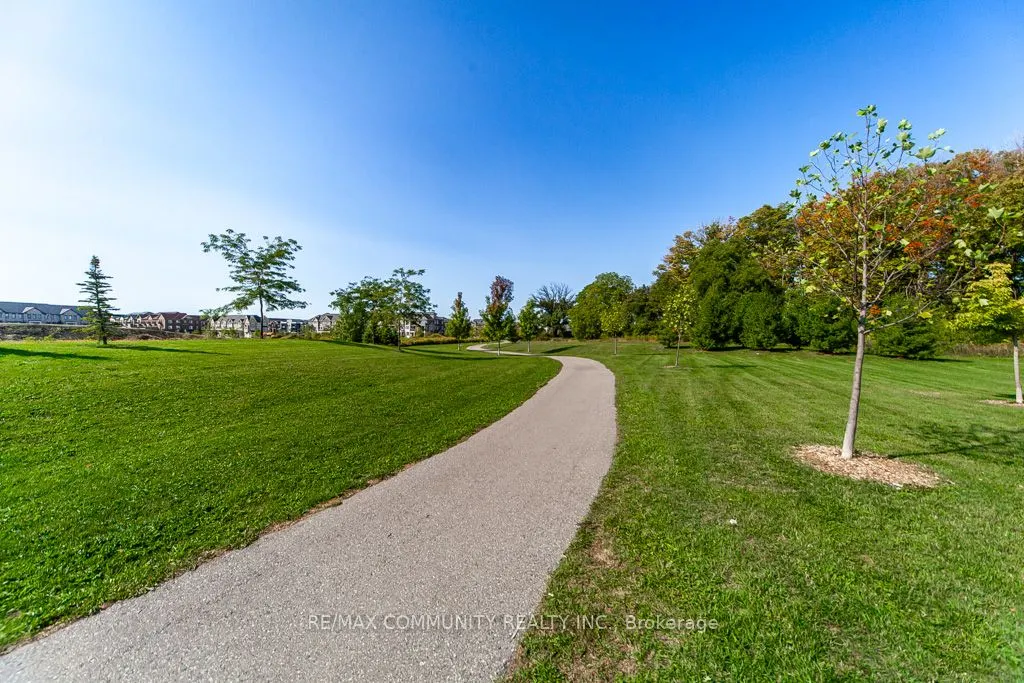 337 William Forster Road, #Basement