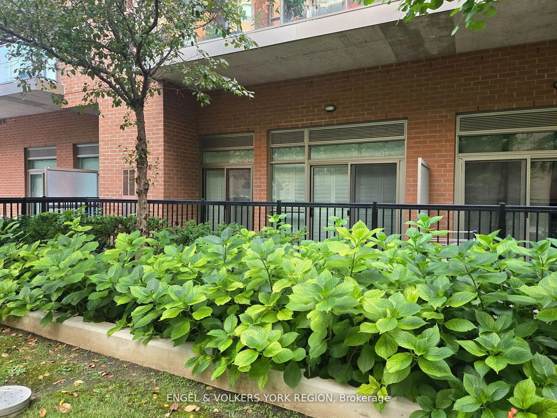 281 Woodbridge Avenue, #106