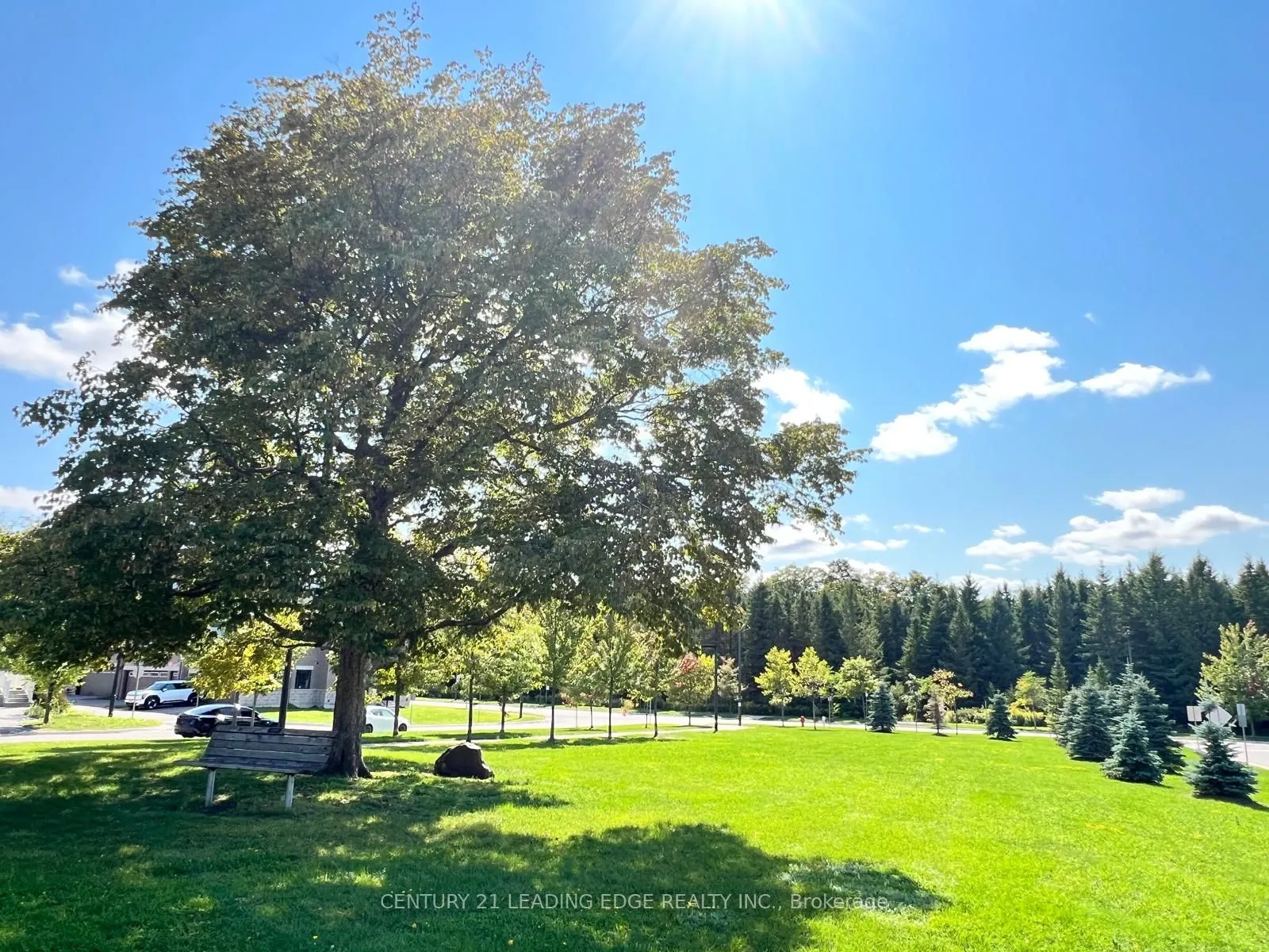 127 Warren McBride Crescent