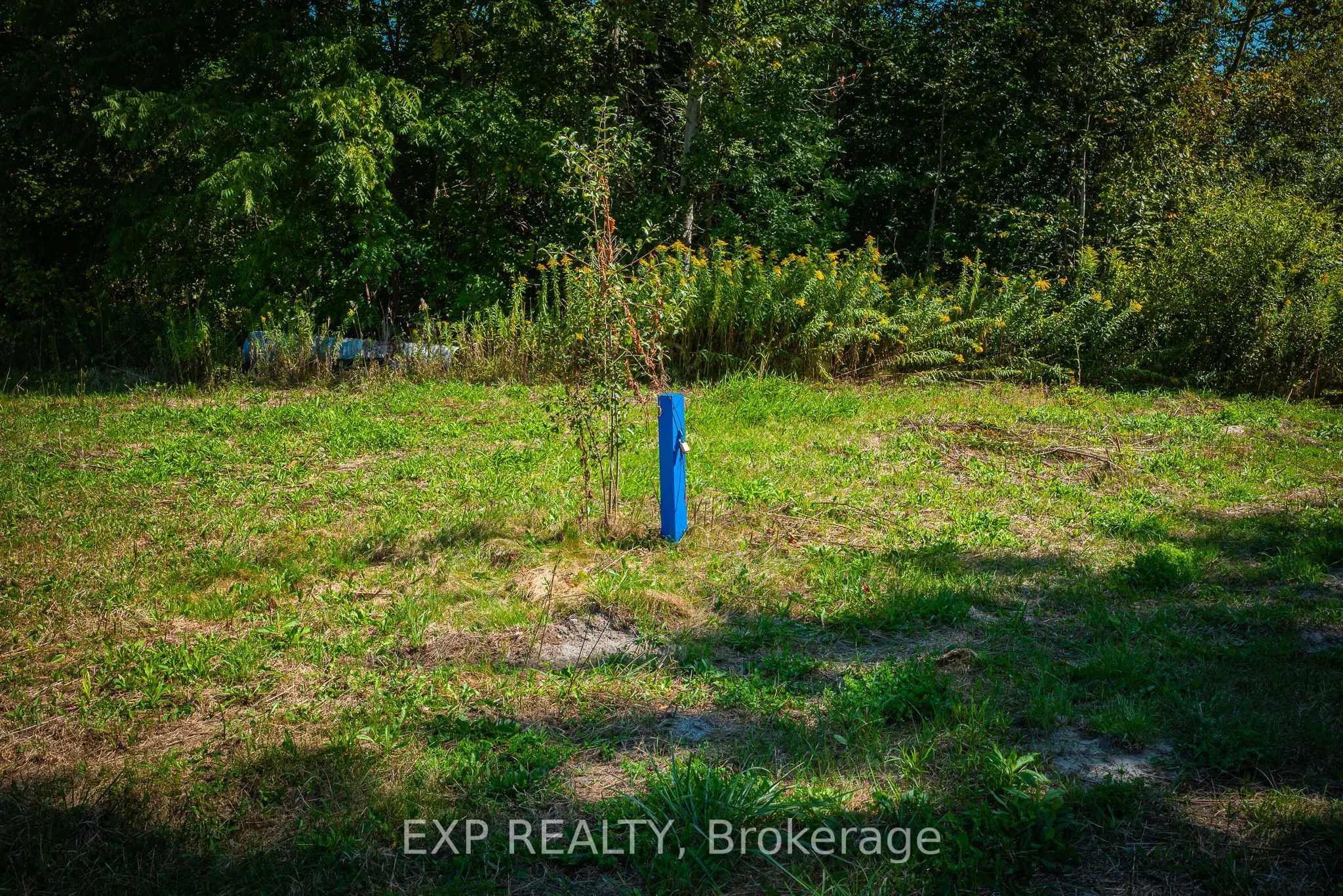 26839 Civic Centre Road