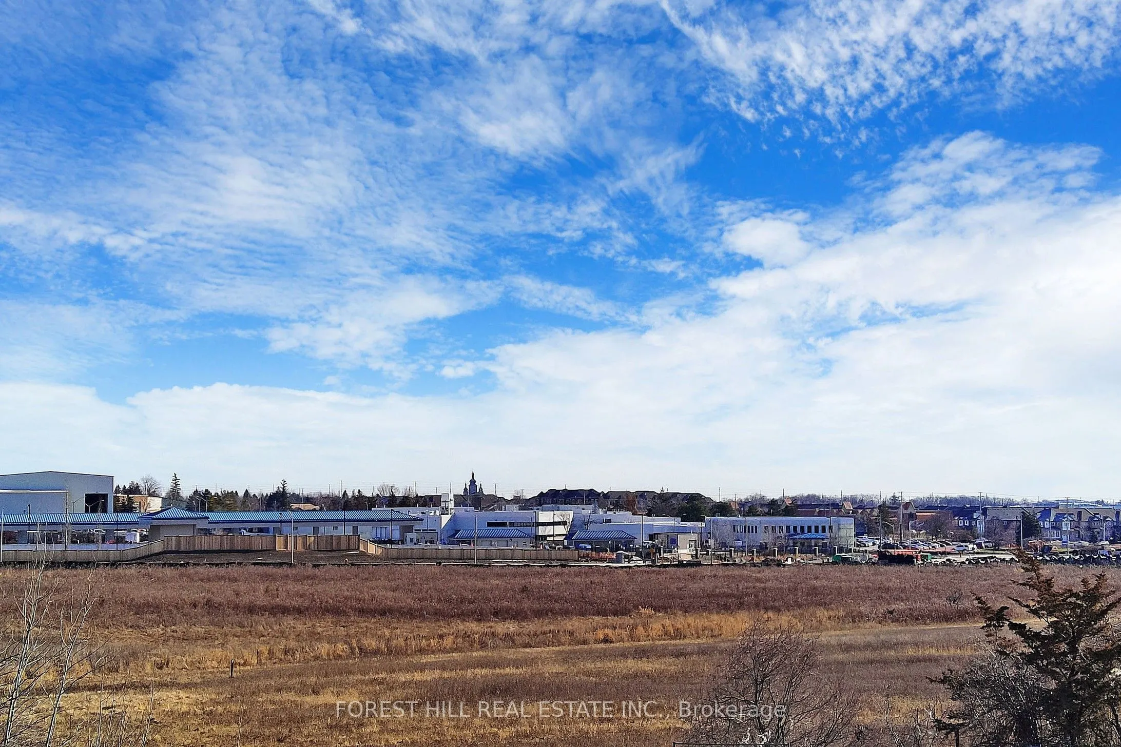 6 David Eyer Road, #203